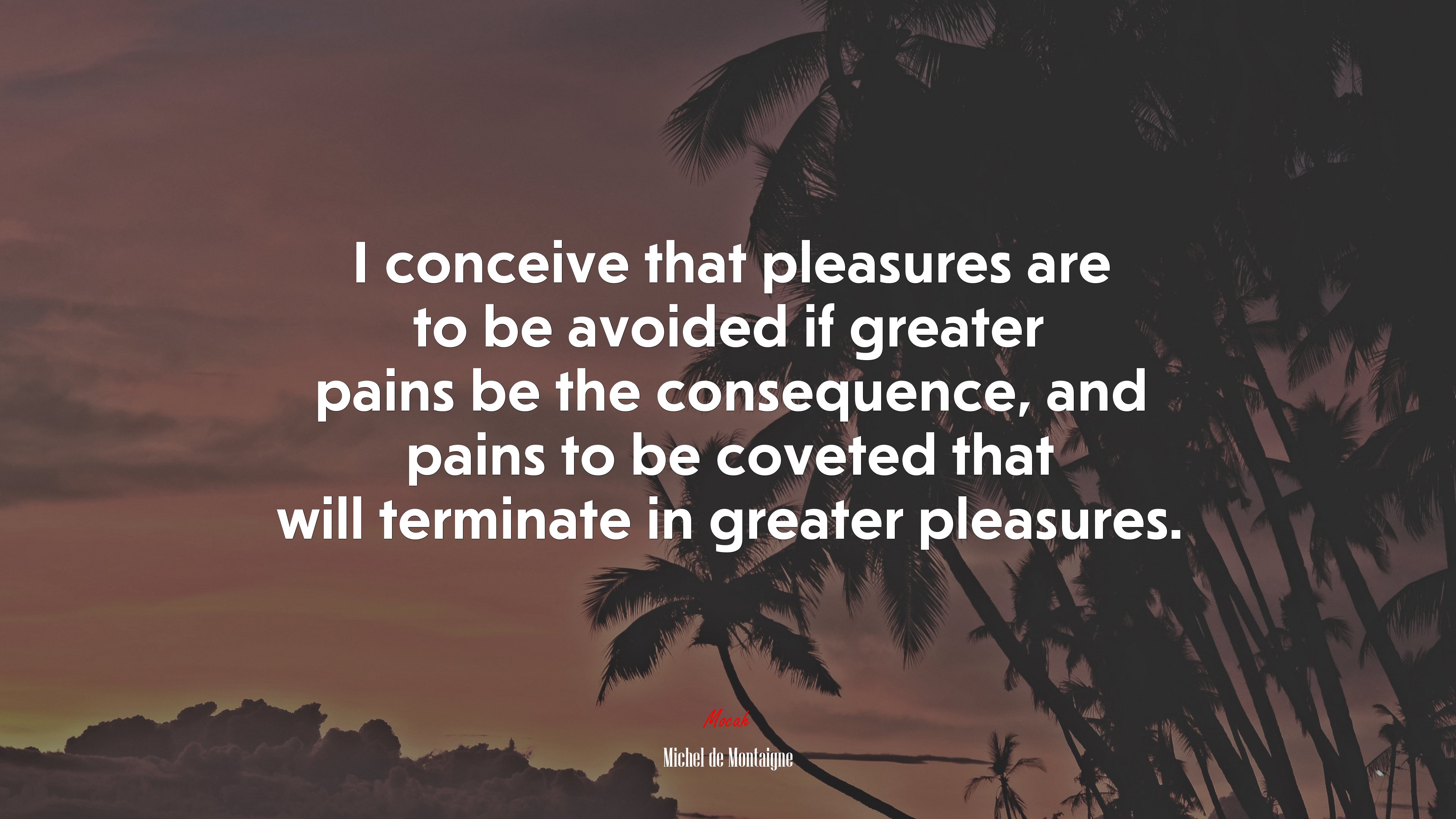 I conceive that pleasures are to be avoided if greater pains be the consequence, and pains to be coveted that will terminate in greater pleasures. | Michel de Montaigne quote HD Wallpaper