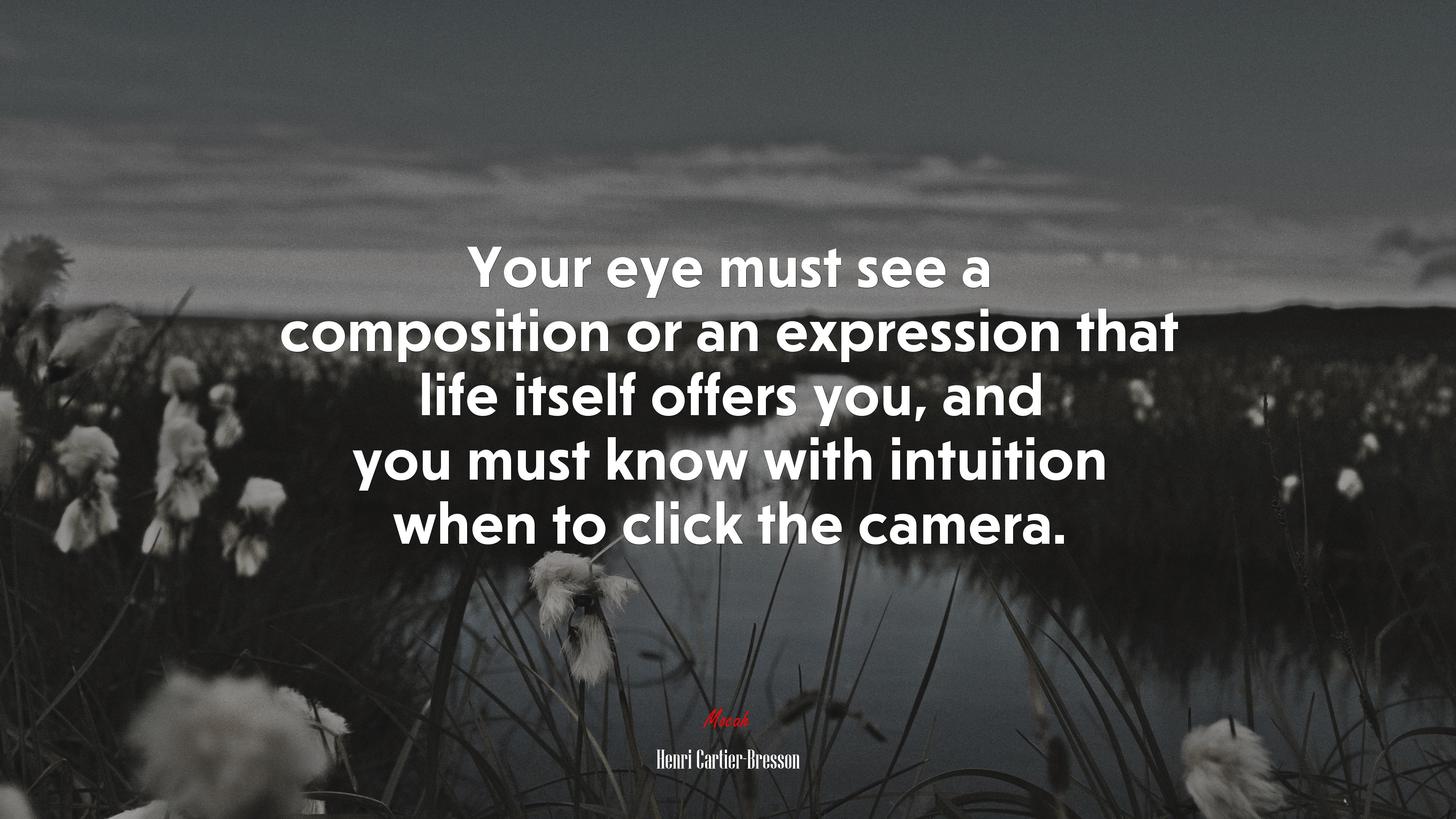 Your eye must see a composition or an expression that life itself offers you, and you must know with intuition when to click the camera. | Henri Cartier-Bresson quote HD Wallpaper