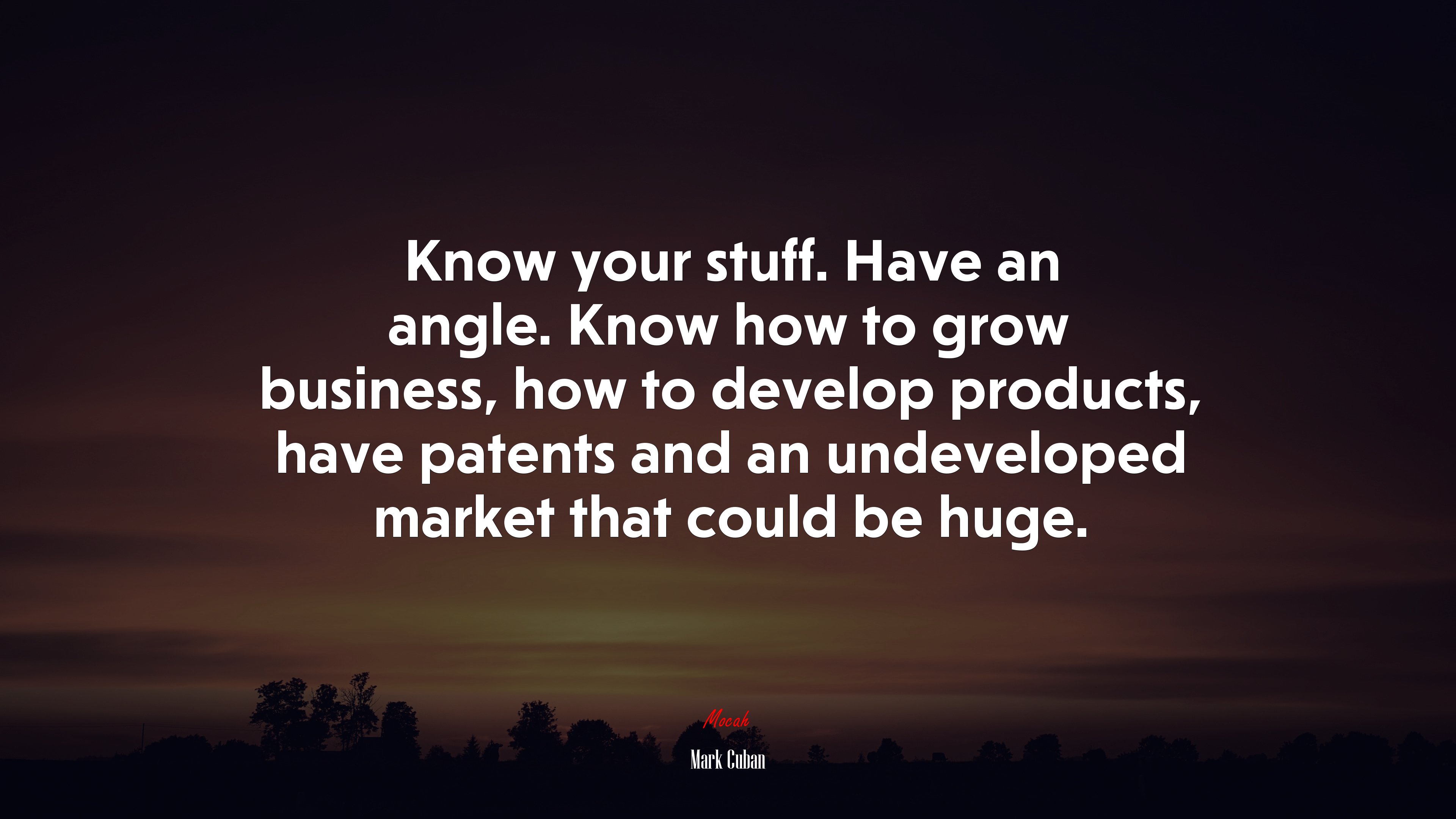 Know your stuff. Have an angle. Know how to grow business, how to develop products, have patents and an undeveloped market that could be huge. | Mark Cuban quote HD Wallpaper