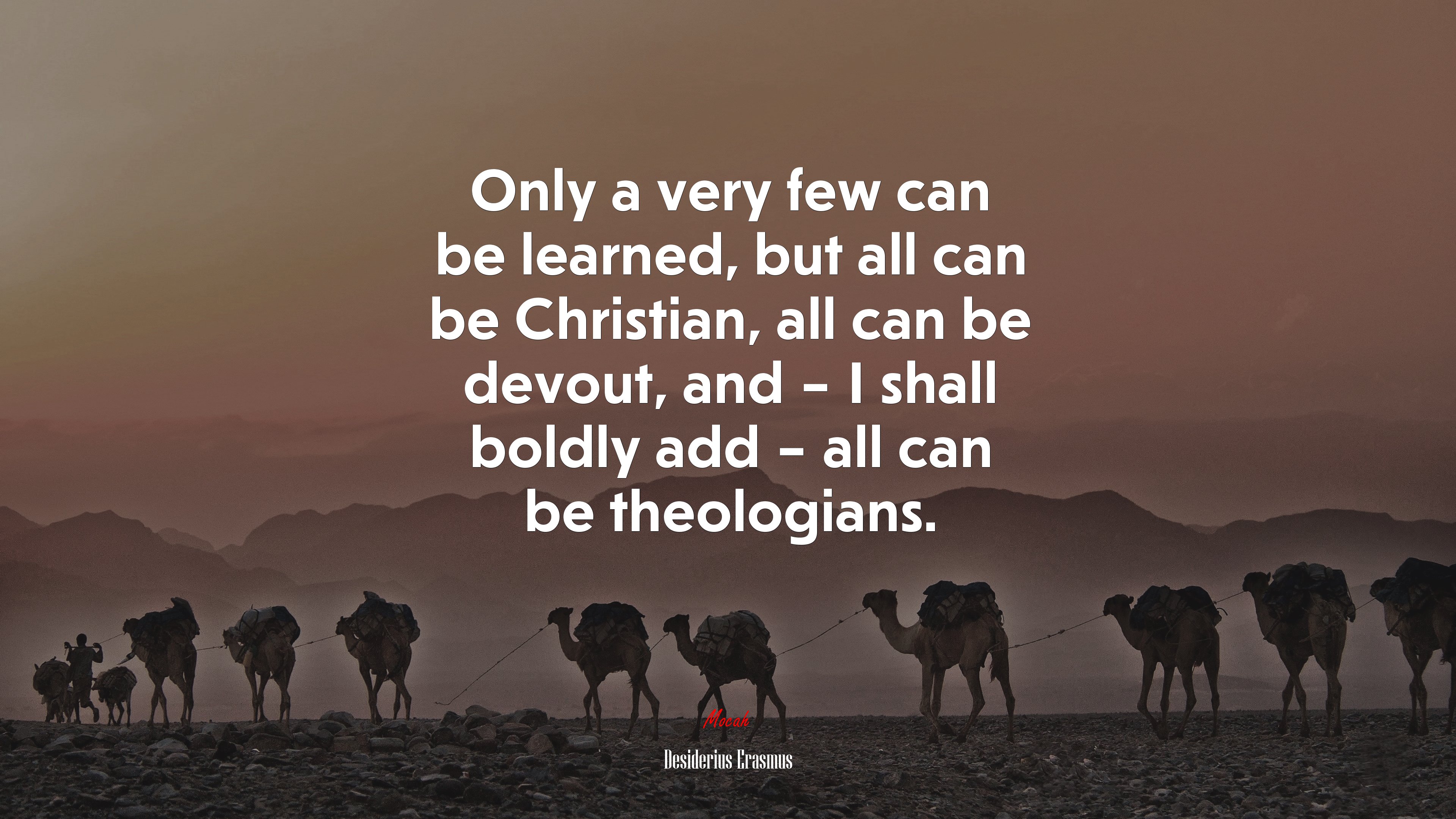 Only a very few can be learned, but all can be Christian, all can be devout, and – I shall boldly add – all can be theologians. | Desiderius Erasmus quote HD Wallpaper
