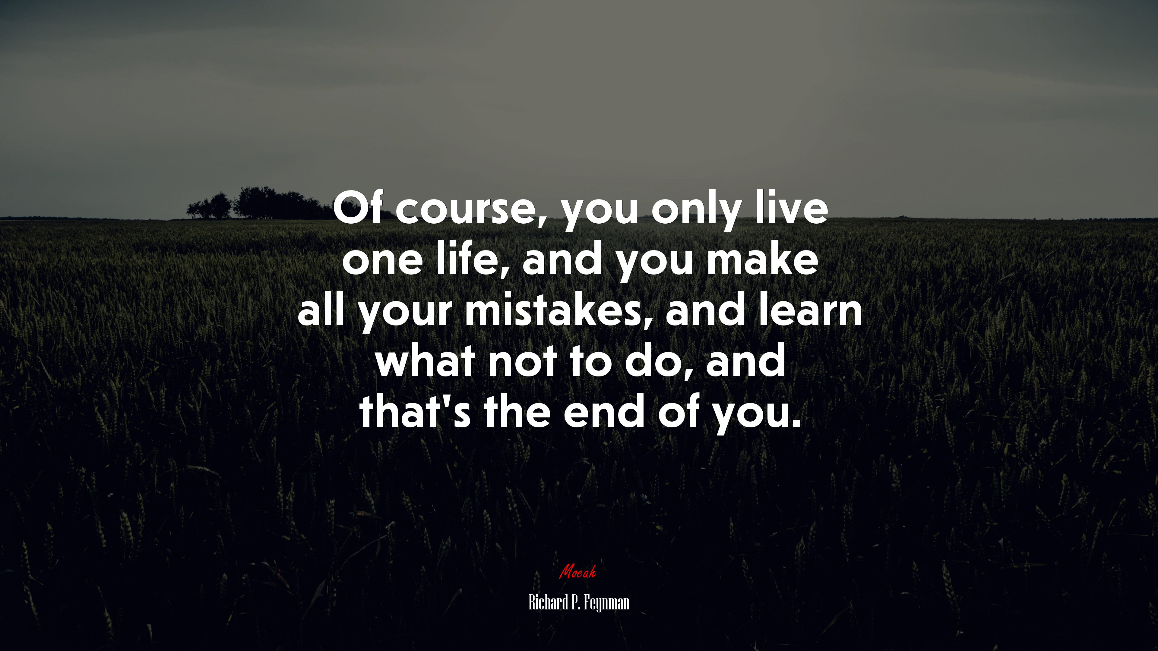 Of course, you only live one life, and you make all your mistakes, and learn what not to do, and that’s the end of you. | Richard P. Feynman quote HD Wallpaper