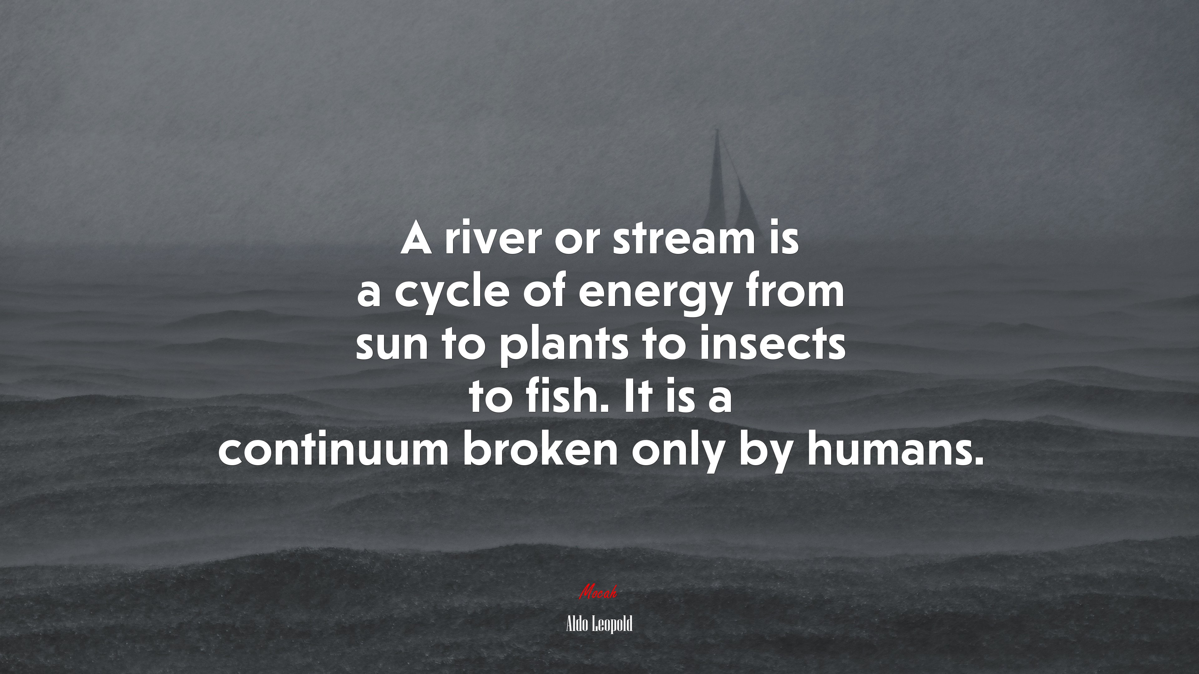 A river or stream is a cycle of energy from sun to plants to insects to fish. It is a continuum broken only by humans. | Aldo Leopold quote HD Wallpaper