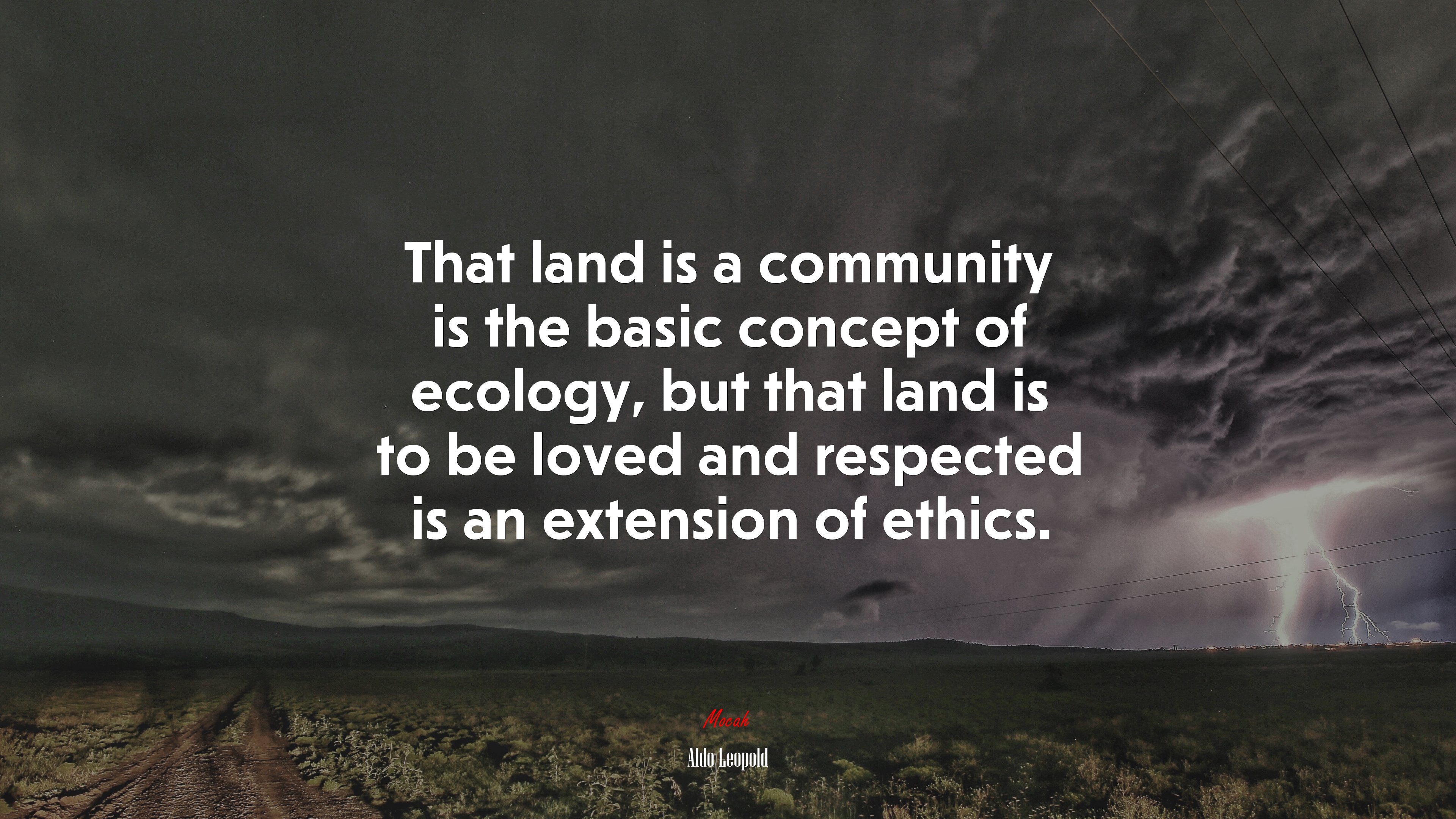 That land is a community is the basic concept of ecology, but that land is to be loved and respected is an extension of ethics. | Aldo Leopold quote HD Wallpaper