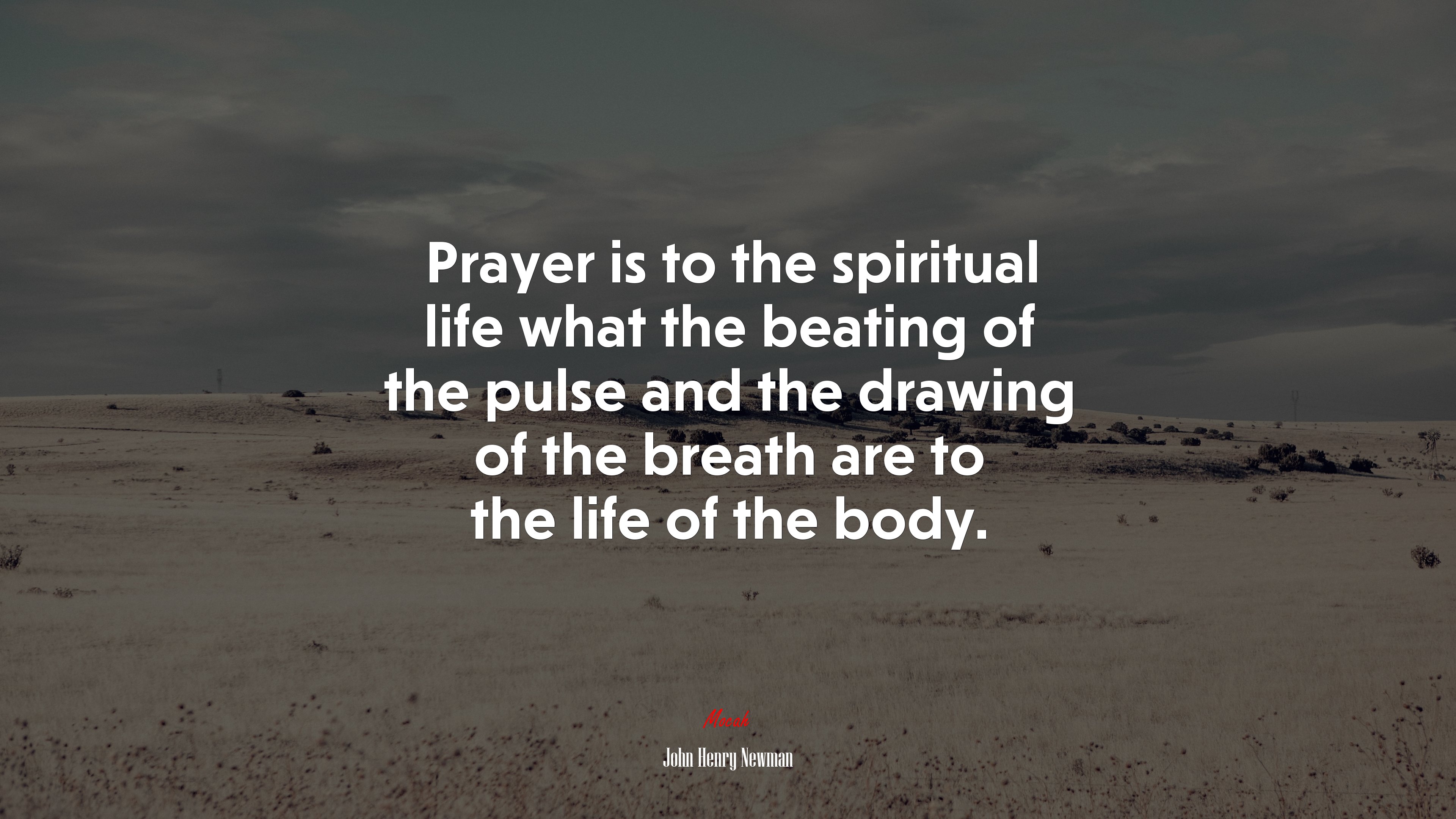 Prayer is to the spiritual life what the beating of the pulse and the drawing of the breath are to the life of the body. | John Henry Newman quote HD Wallpaper