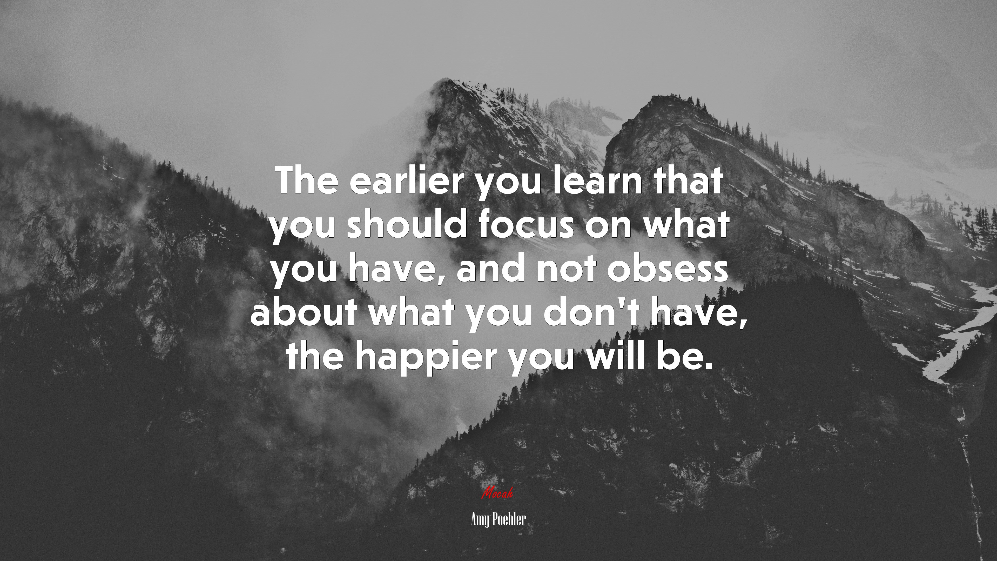 The earlier you learn that you should focus on what you have, and not obsess about what you don’t have, the happier you will be. | Amy Poehler quote HD Wallpaper