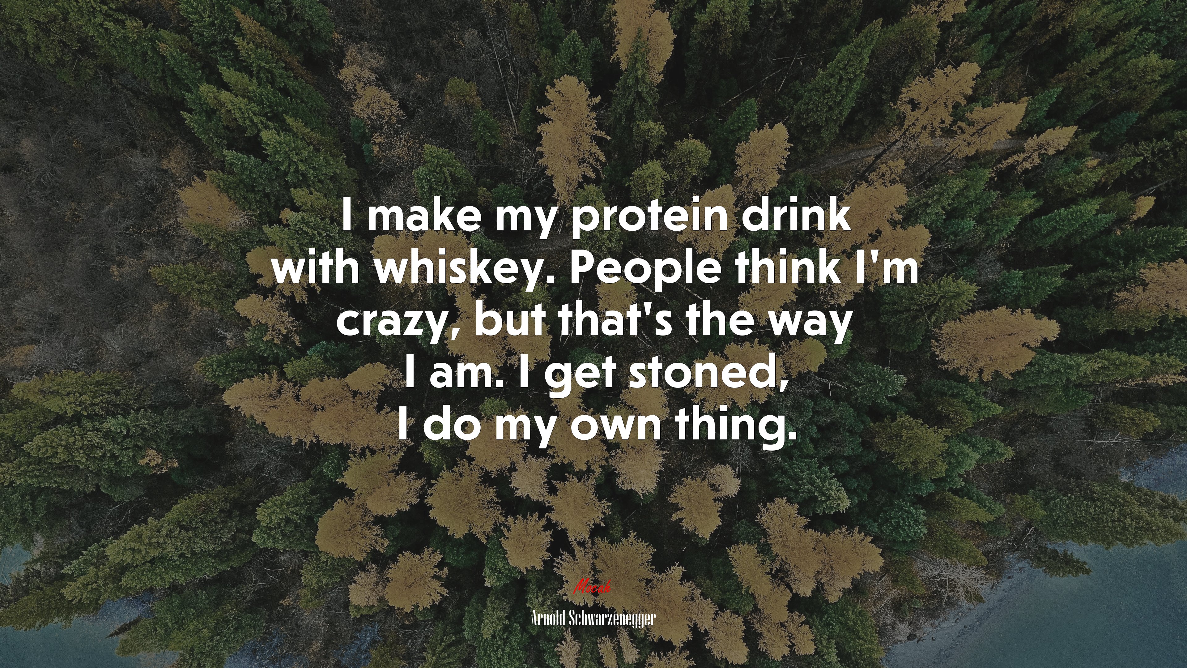 I make my protein drink with whiskey. People think I’m crazy, but that’s the way I am. I get stoned, I do my own thing. | Arnold Schwarzenegger quote HD Wallpaper