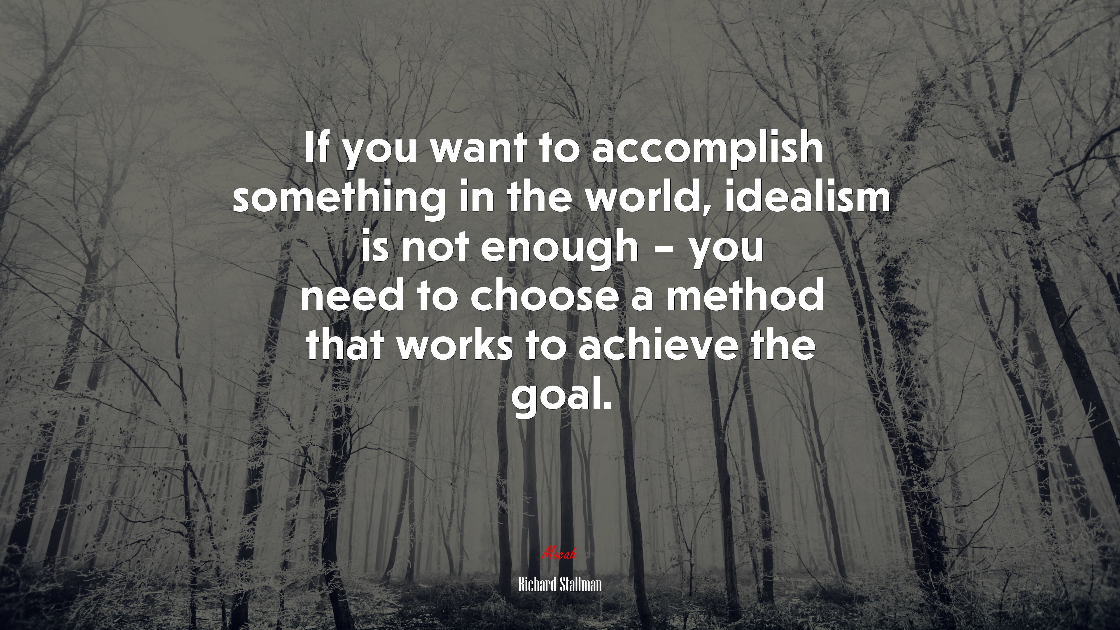 If you want to accomplish something in the world, idealism is not enough – you need to choose a method that works to achieve the goal. | Richard Stallman quote HD Wallpaper