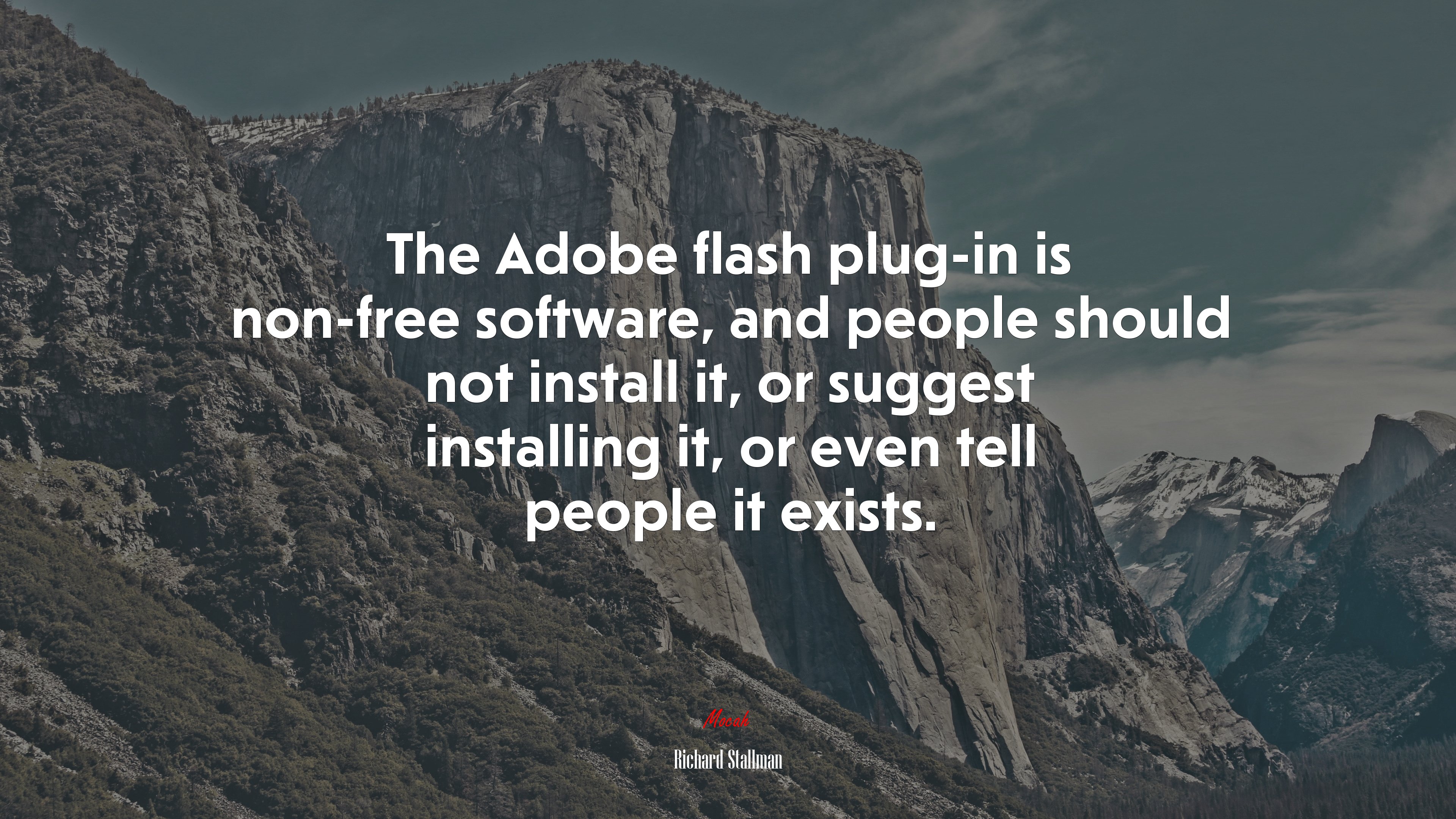 The Adobe flash plug-in is non-free software, and people should not install it, or suggest installing it, or even tell people it exists. | Richard Stallman quote HD Wallpaper