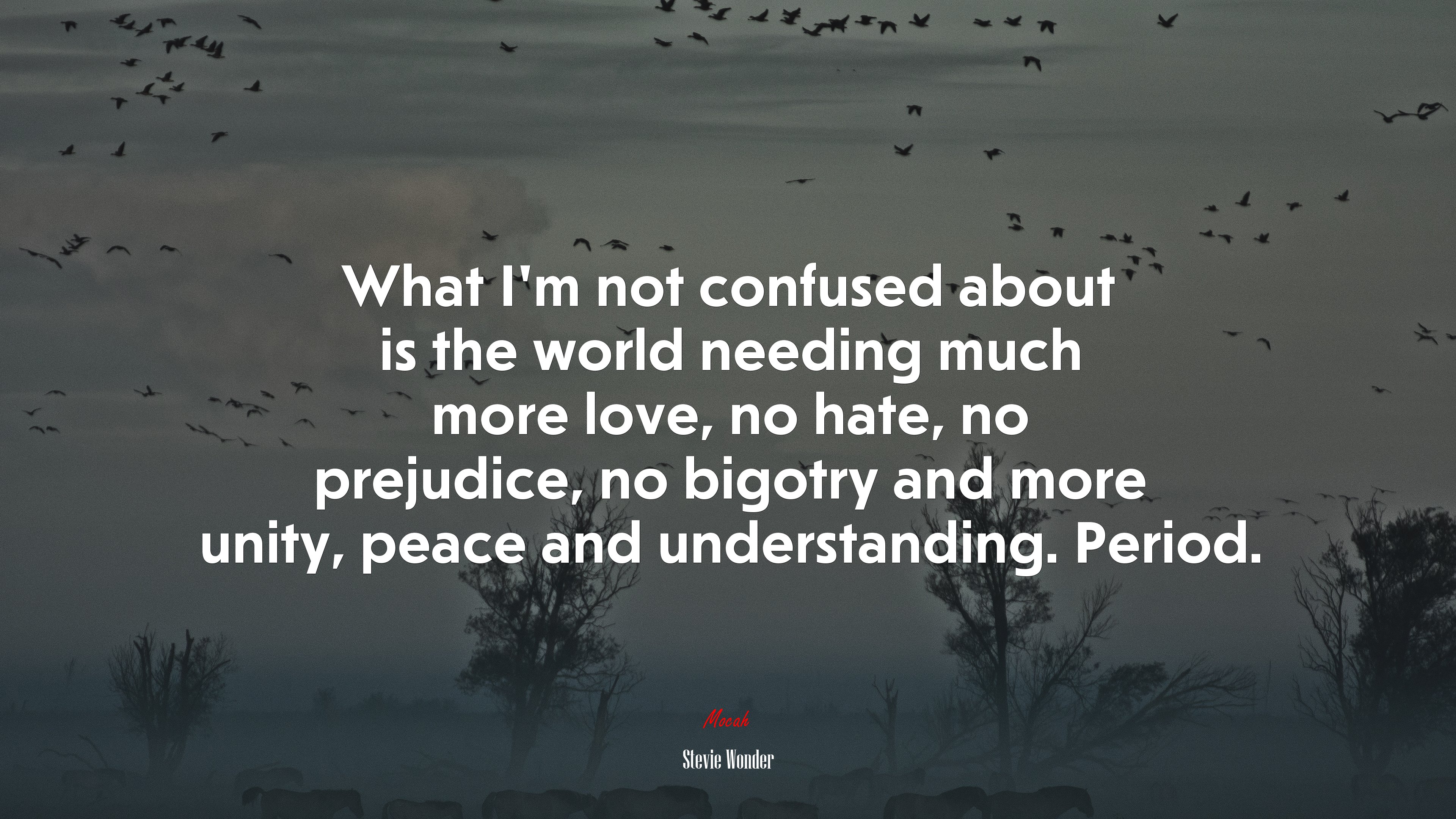 What I’m not confused about is the world needing much more love, no hate, no prejudice, no bigotry and more unity, peace and understanding. Period. | Stevie Wonder quote HD Wallpaper