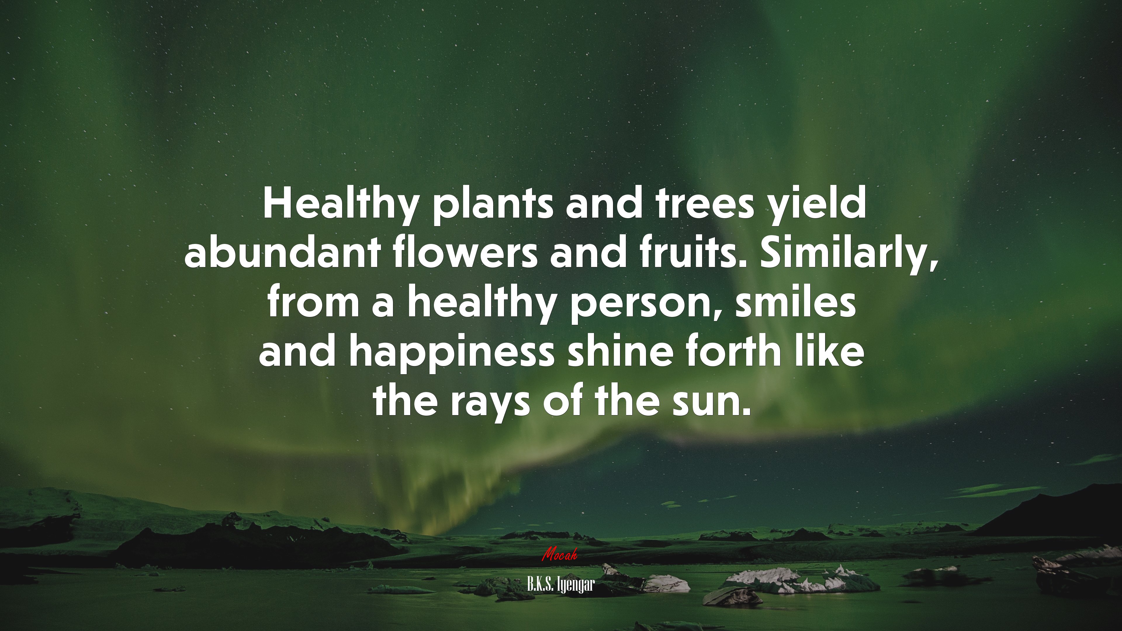Healthy plants and trees yield abundant flowers and fruits. Similarly, from a healthy person, smiles and happiness shine forth like the rays of the sun. | B.K.S. Iyengar quote HD Wallpaper