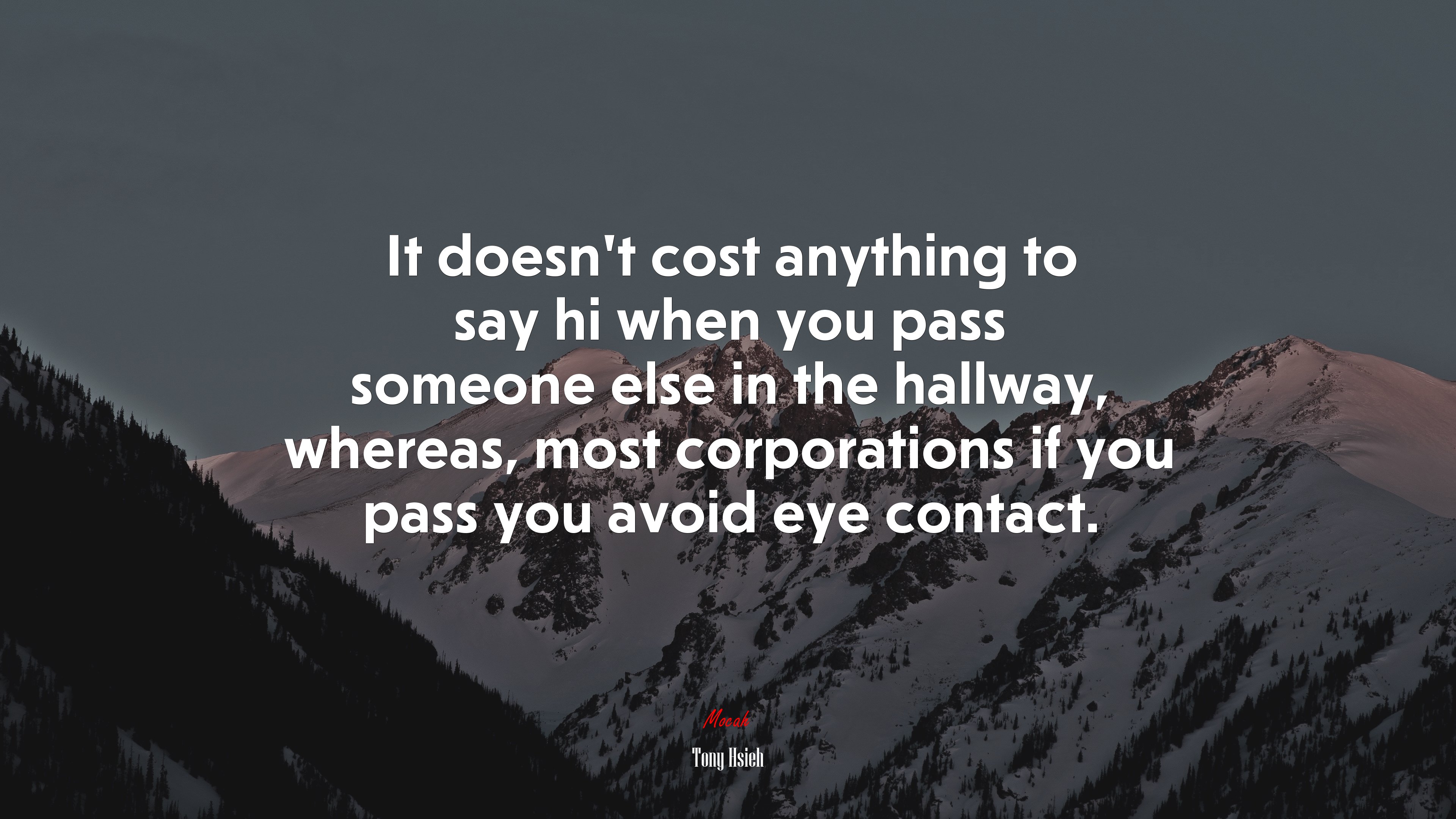 It doesn’t cost anything to say hi when you pass someone else in the hallway, whereas, most corporations if you pass you avoid eye contact. | Tony Hsieh quote HD Wallpaper