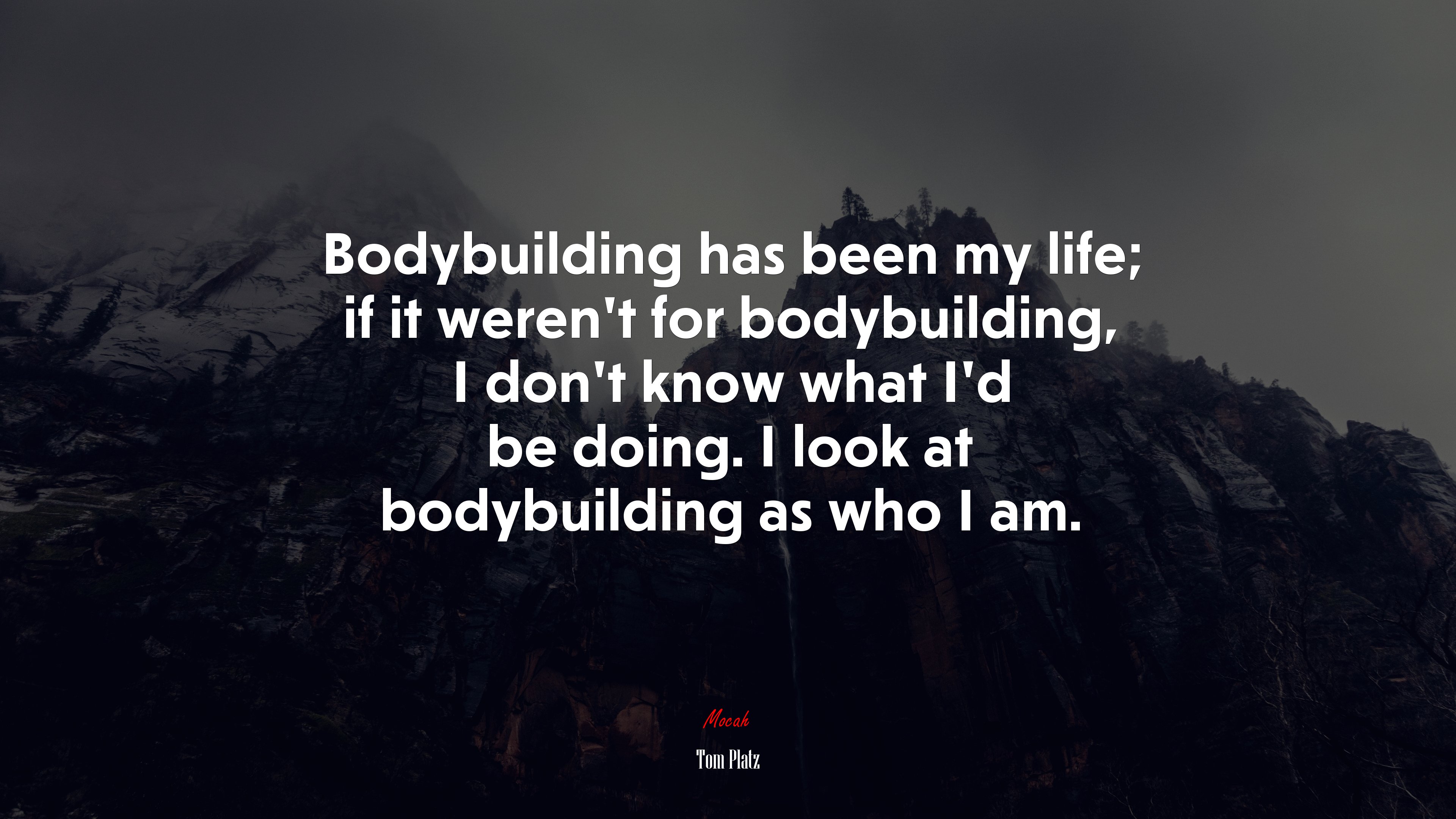 Bodybuilding has been my life; if it weren’t for bodybuilding, I don’t know what I’d be doing. I look at bodybuilding as who I am. | Tom Platz quote HD Wallpaper