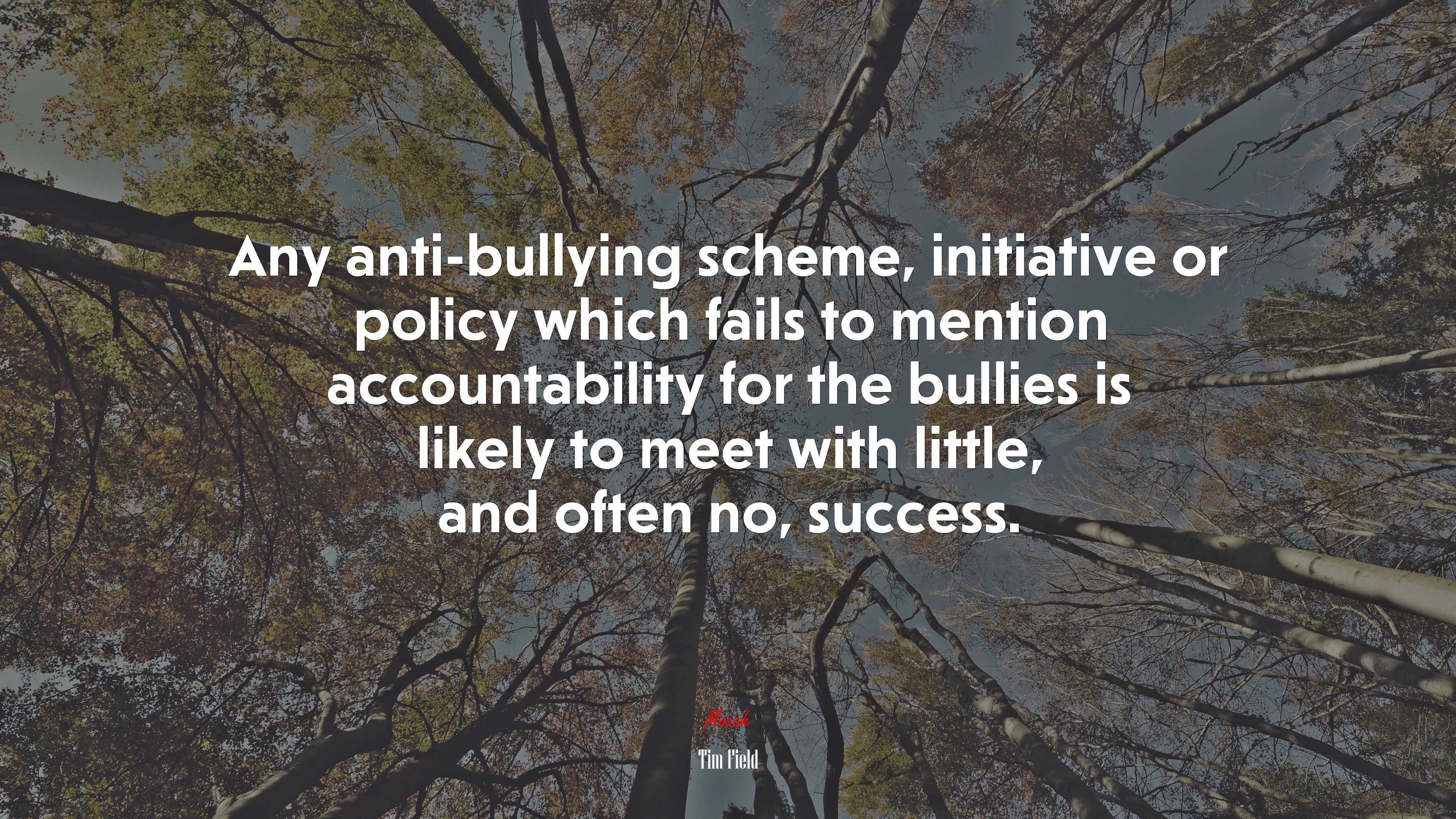 Any anti-bullying scheme, initiative or policy which fails to mention accountability for the bullies is likely to meet with little, and often no, success. | Tim Field quote HD Wallpaper