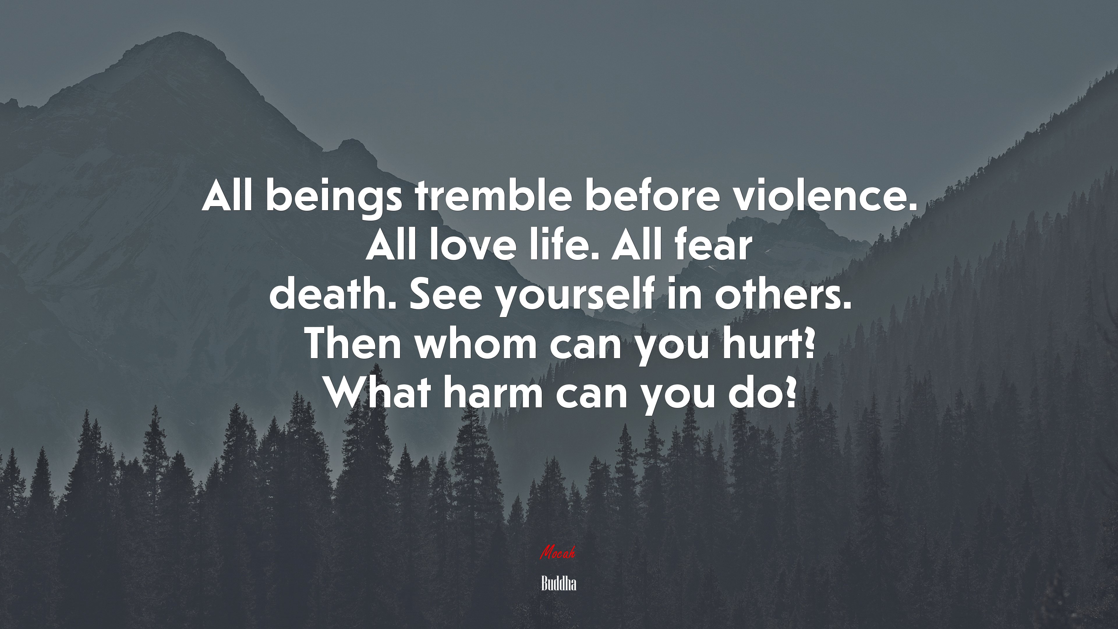 All beings tremble before violence. All love life. All fear death. See yourself in others. Then whom can you hurt? What harm can you do? | Buddha quote HD Wallpaper