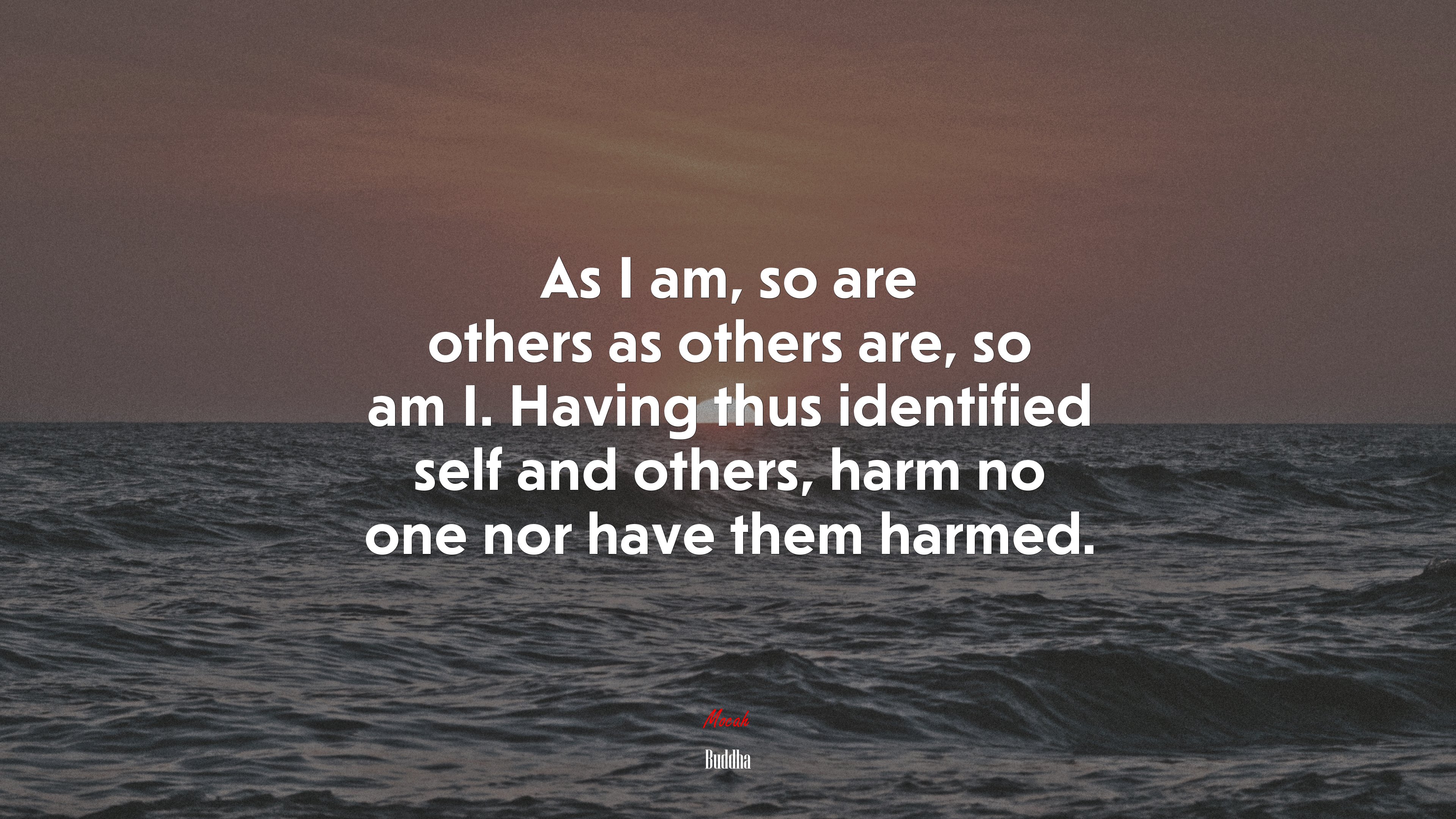 As I am, so are others as others are, so am I. Having thus identified self and others, harm no one nor have them harmed. | Buddha quote HD Wallpaper