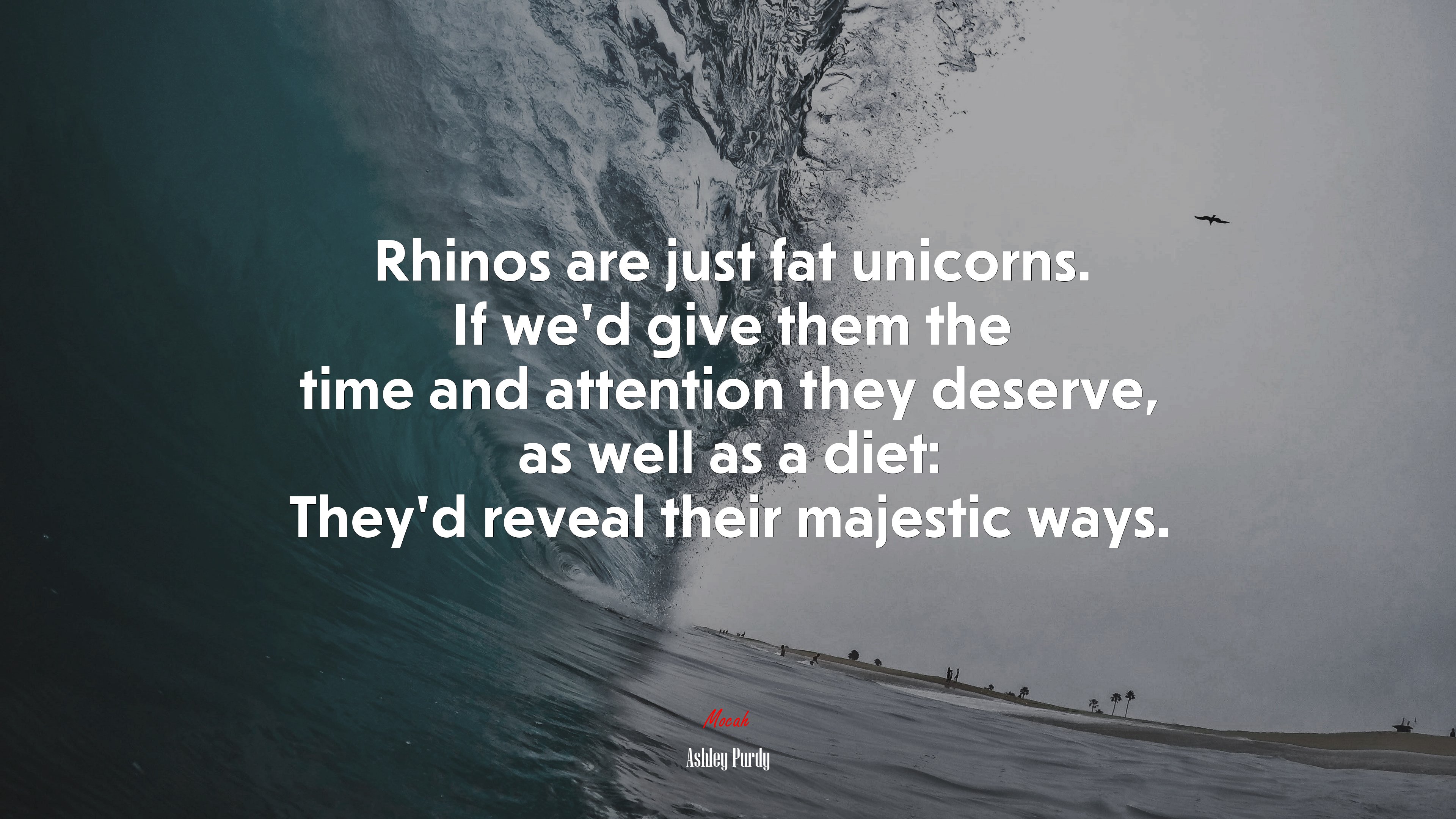 Rhinos are just fat unicorns. If we’d give them the time and attention they deserve, as well as a diet: They’d reveal their majestic ways. | Ashley Purdy quote HD Wallpaper