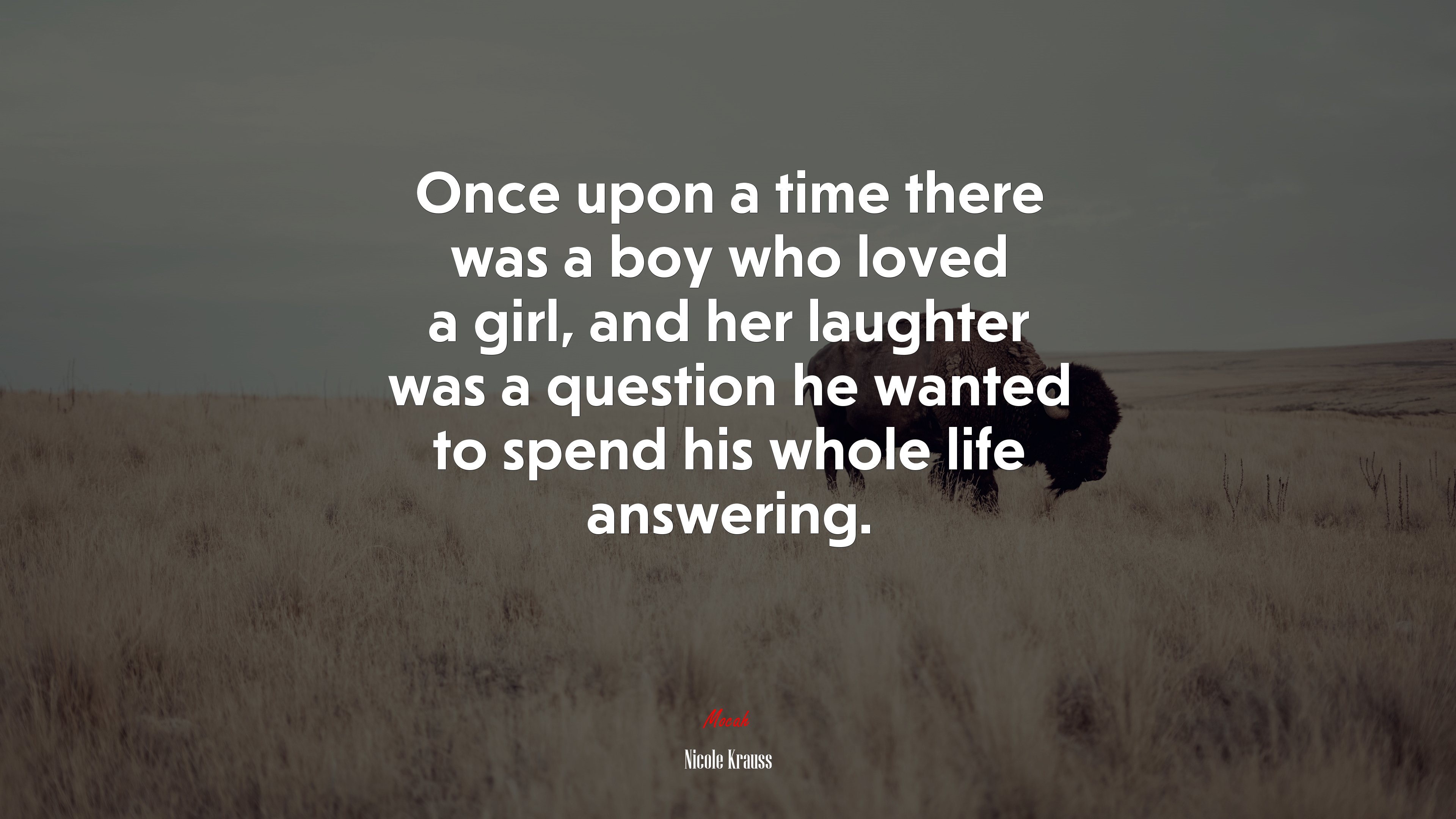 Once upon a time there was a boy who loved a girl, and her laughter was a question he wanted to spend his whole life answering. | Nicole Krauss quote HD Wallpaper
