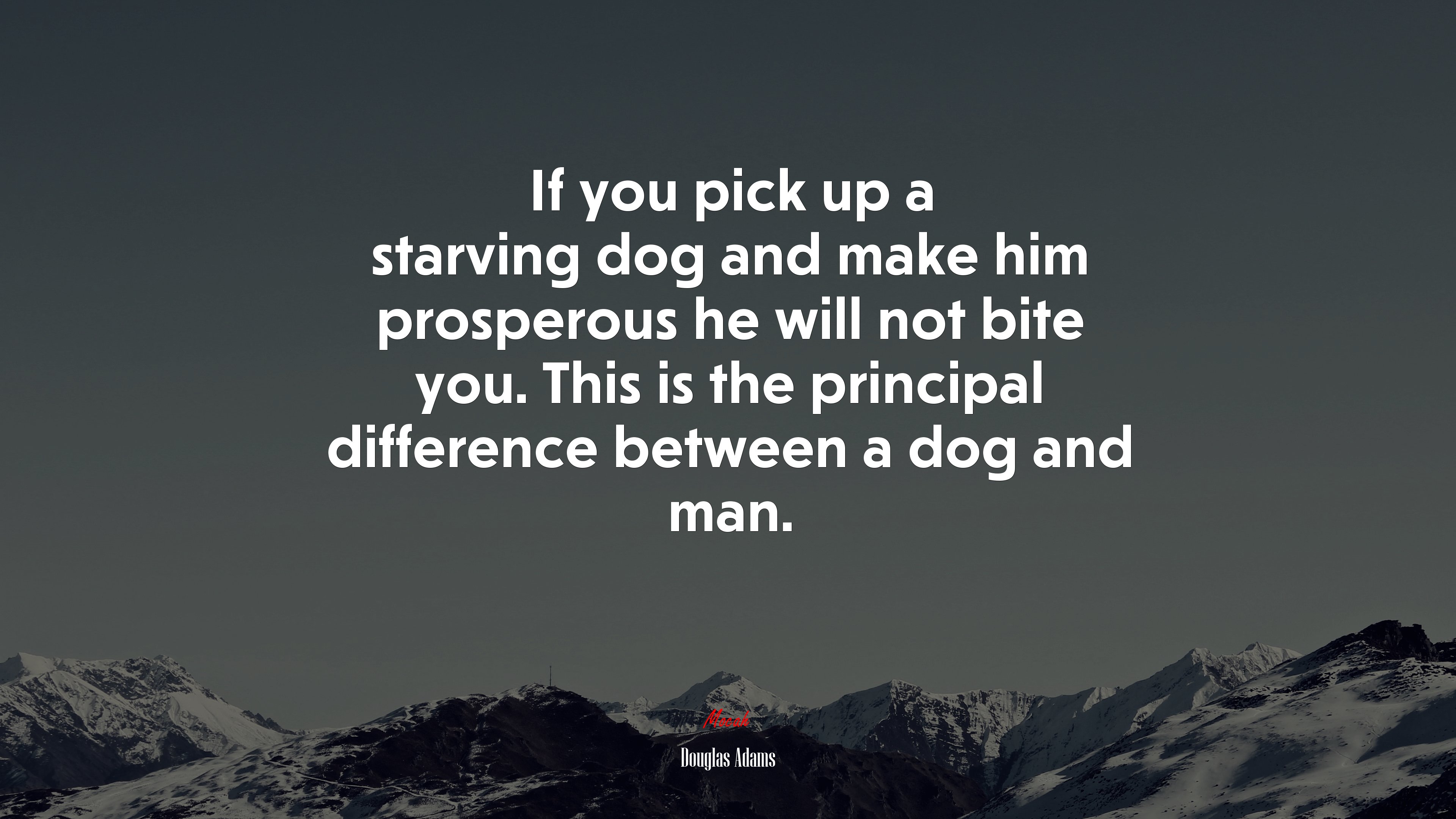If you pick up a starving dog and make him prosperous he will not bite you. This is the principal difference between a dog and man. | Douglas Adams quote HD Wallpaper