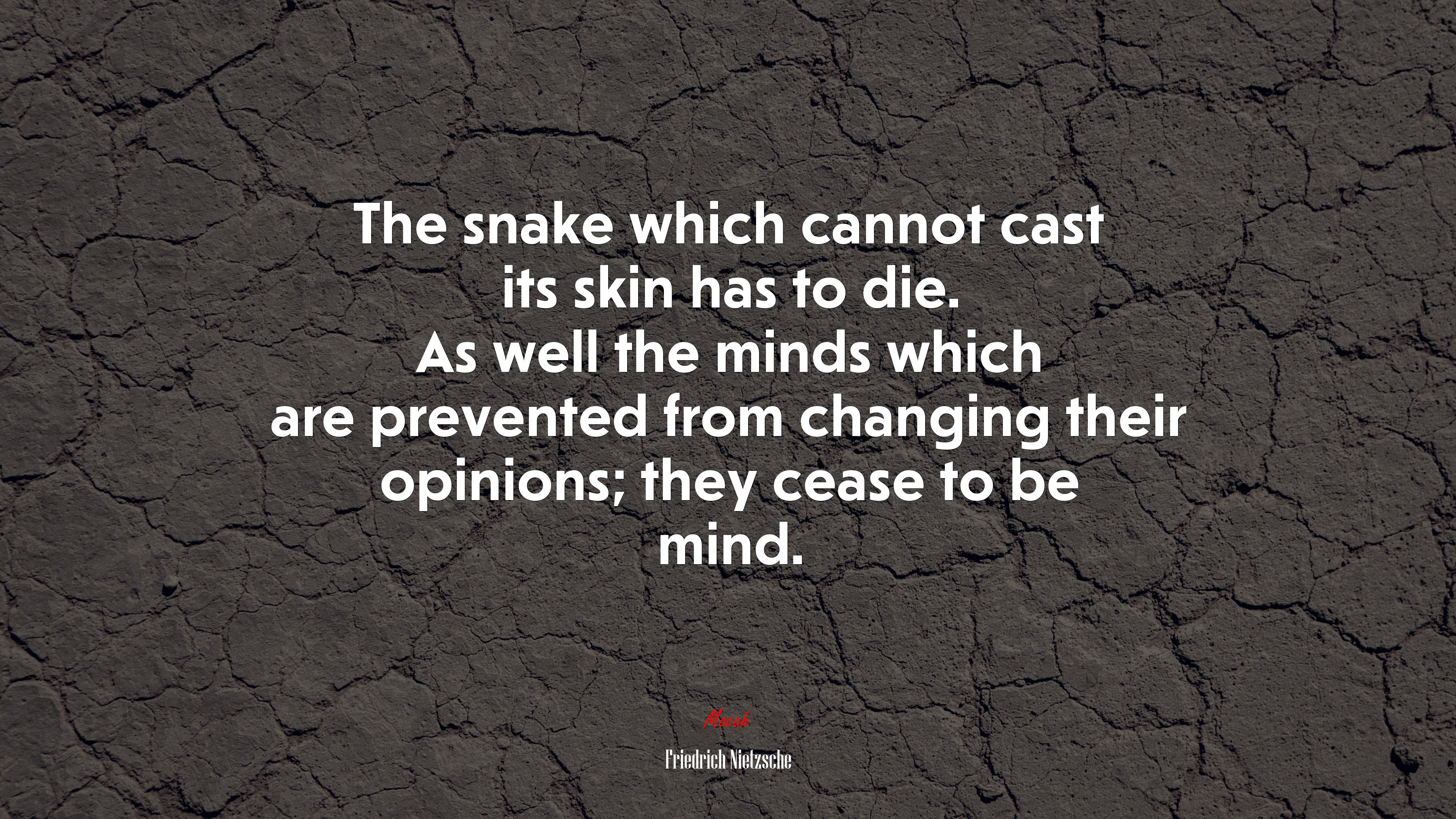 The snake which cannot cast its skin has to die. As well the minds which are prevented from changing their opinions; they cease to be mind. | Friedrich Nietzsche quote HD Wallpaper