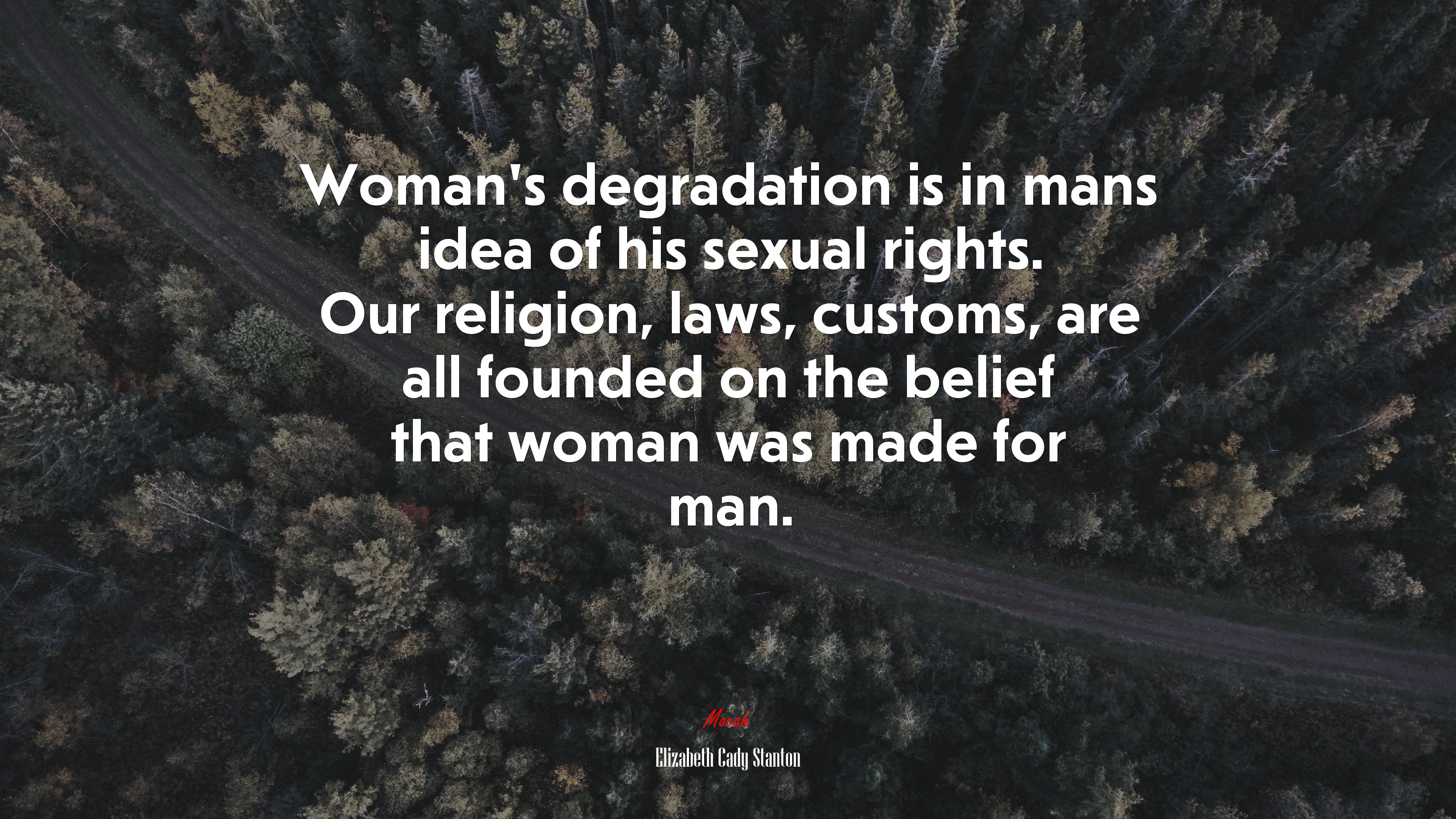 Woman’s degradation is in mans idea of his sexual rights. Our religion, laws, customs, are all founded on the belief that woman was made for man. | Elizabeth Cady Stanton quote HD Wallpaper