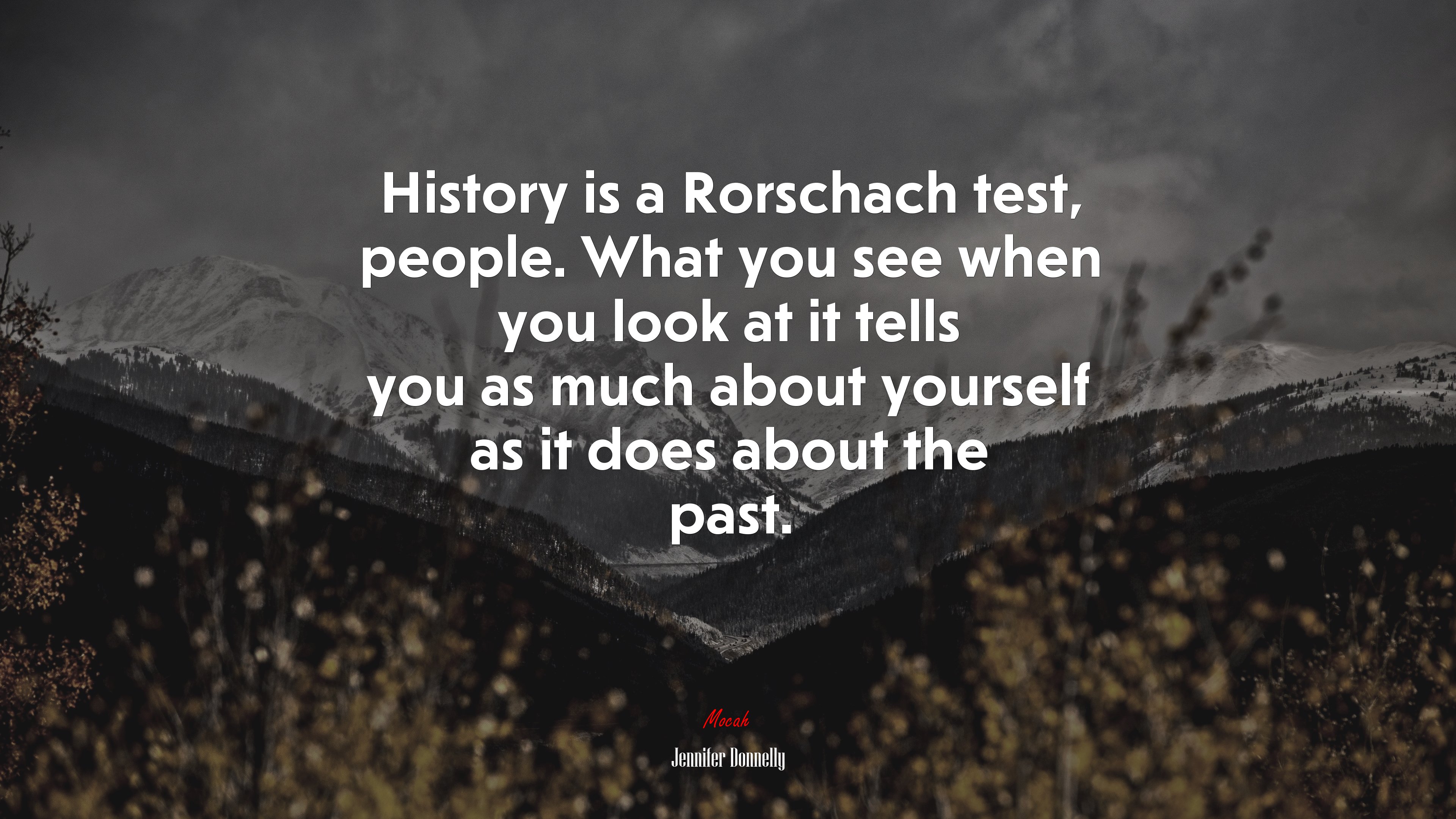 History is a Rorschach test, people. What you see when you look at it tells you as much about yourself as it does about the past. | Jennifer Donnelly quote HD Wallpaper