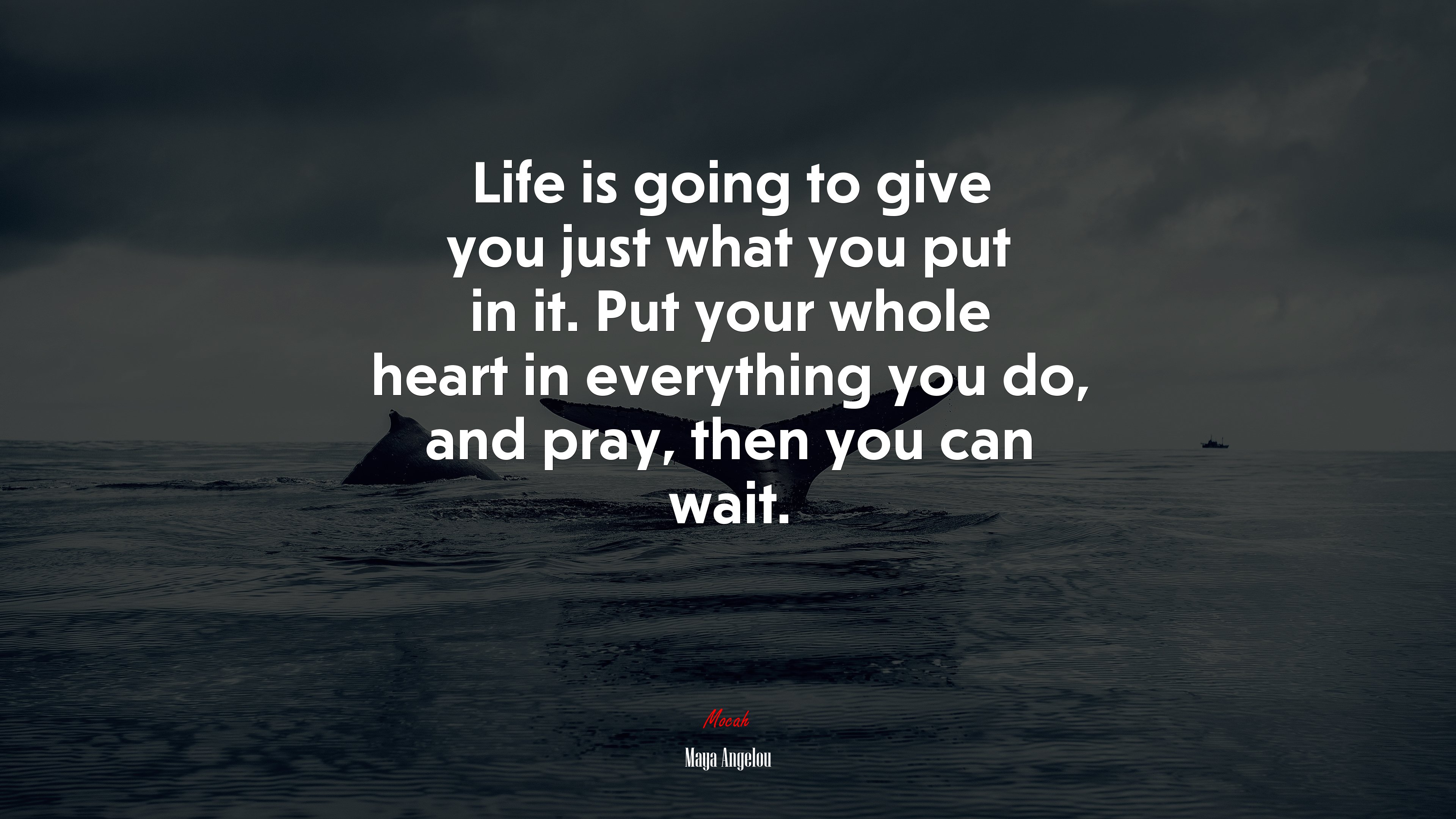 Life is going to give you just what you put in it. Put your whole heart in everything you do, and pray, then you can wait. | Maya Angelou quote HD Wallpaper