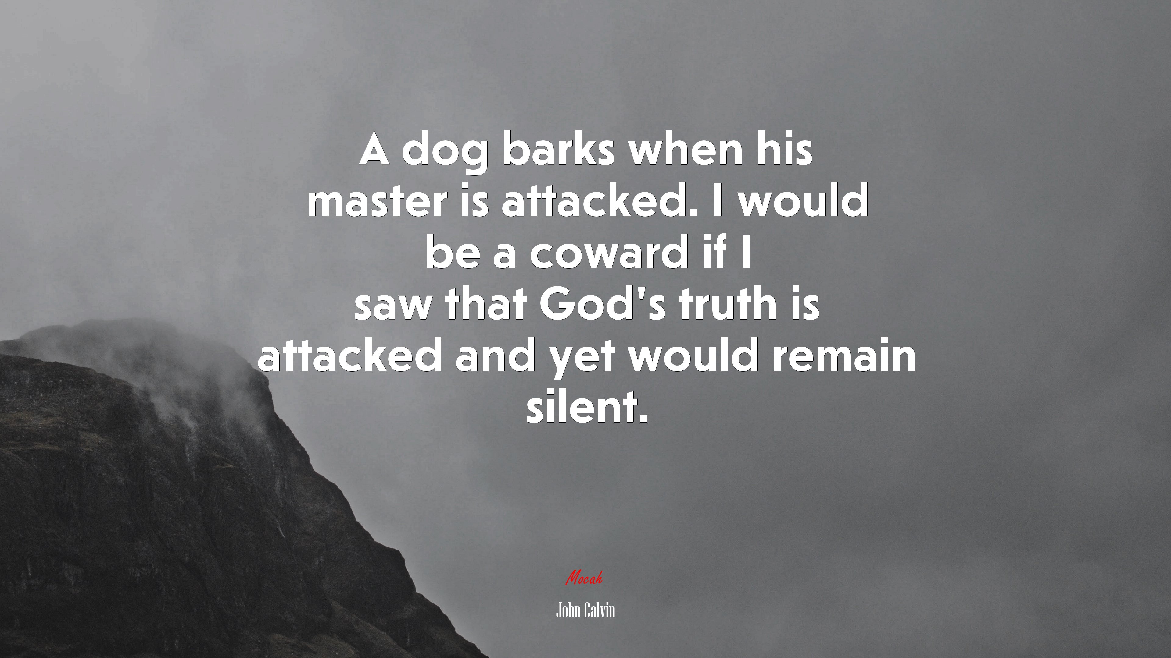 A dog barks when his master is attacked. I would be a coward if I saw that God’s truth is attacked and yet would remain silent. | John Calvin quote HD Wallpaper