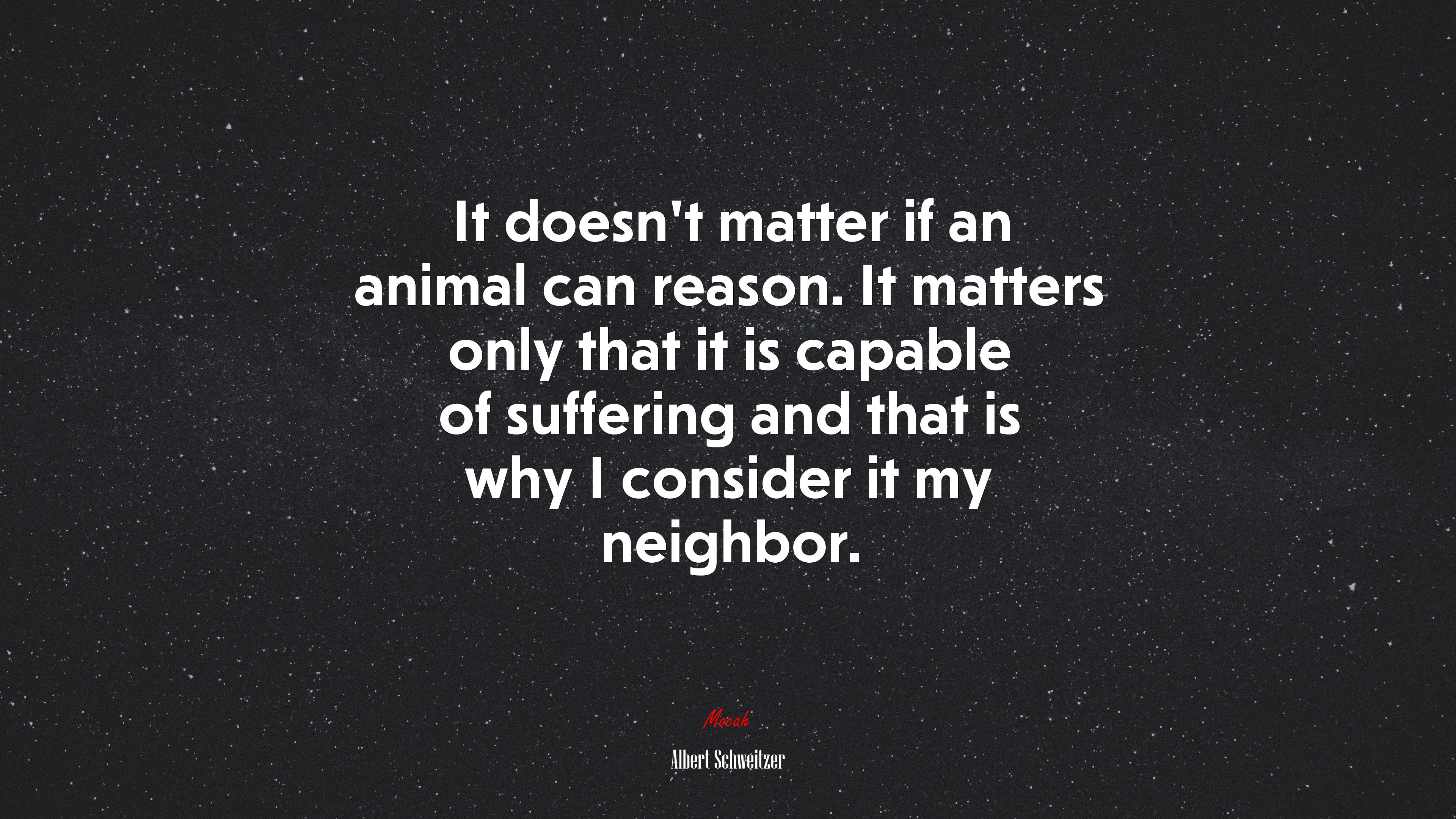 It doesn’t matter if an animal can reason. It matters only that it is capable of suffering and that is why I consider it my neighbor. | Albert Schweitzer quote HD Wallpaper