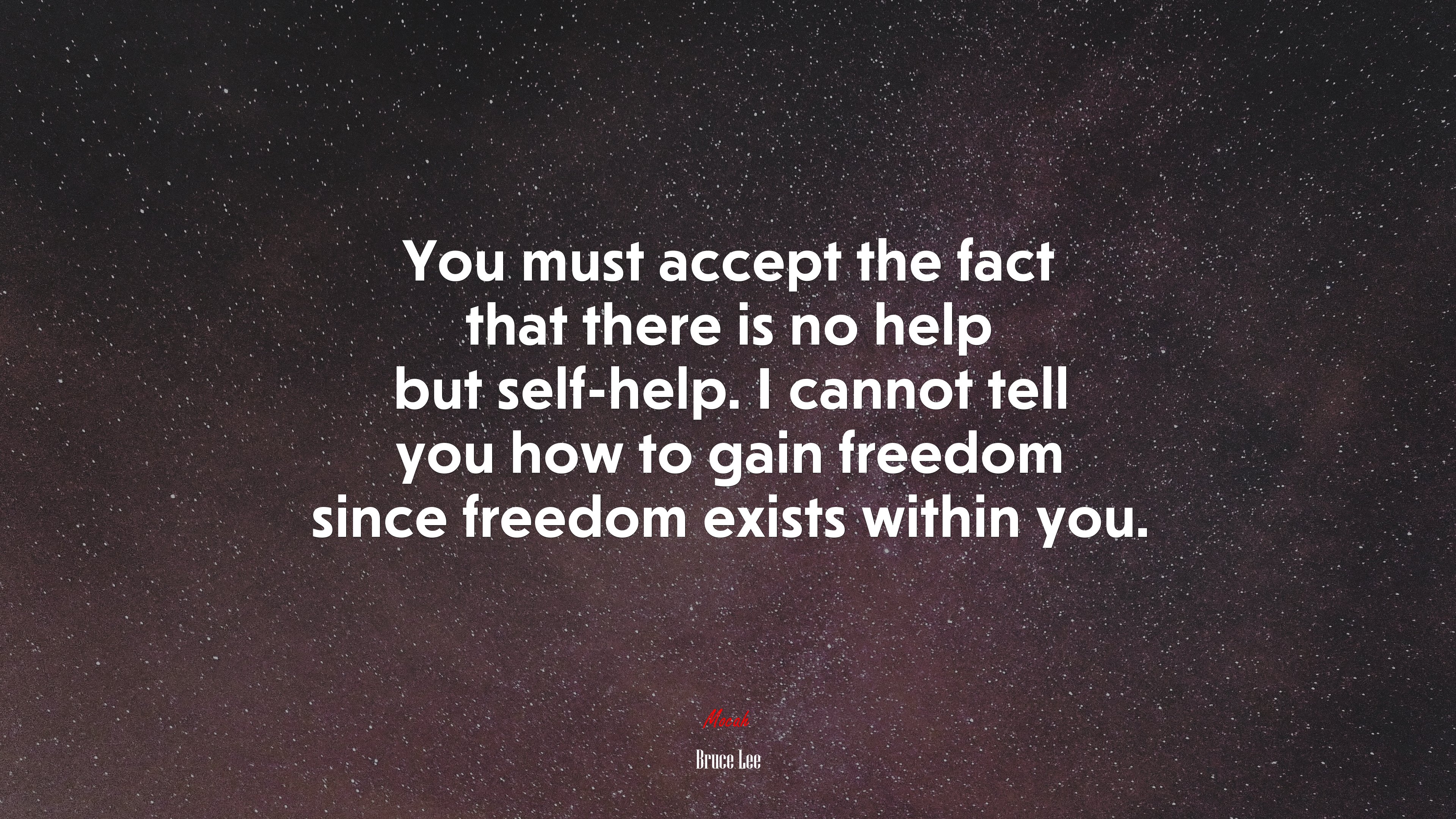 You must accept the fact that there is no help but self-help. I cannot tell you how to gain freedom since freedom exists within you. | Bruce Lee quote HD Wallpaper