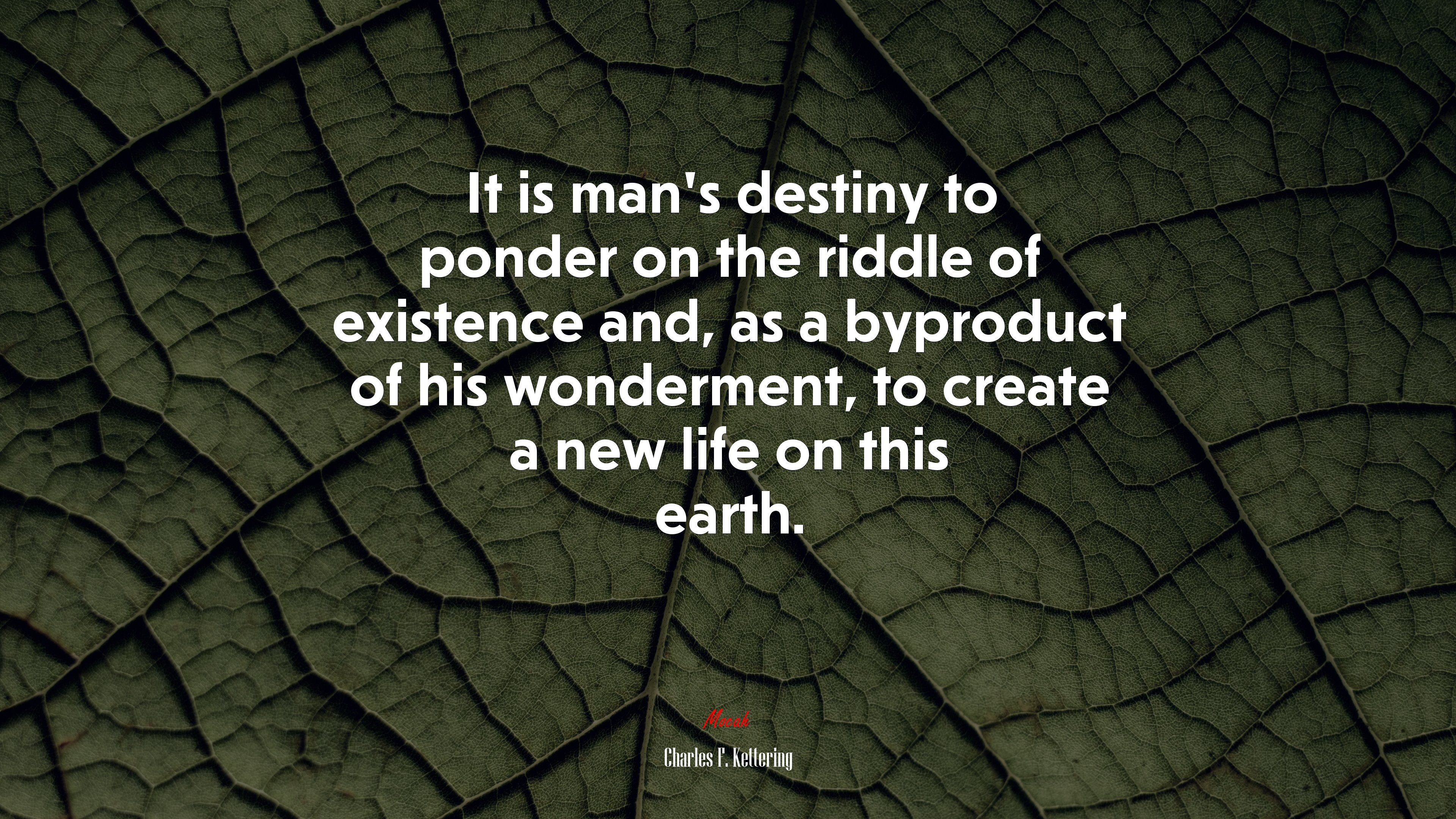 It is man’s destiny to ponder on the riddle of existence and, as a byproduct of his wonderment, to create a new life on this earth. | Charles F. Kettering quote HD Wallpaper