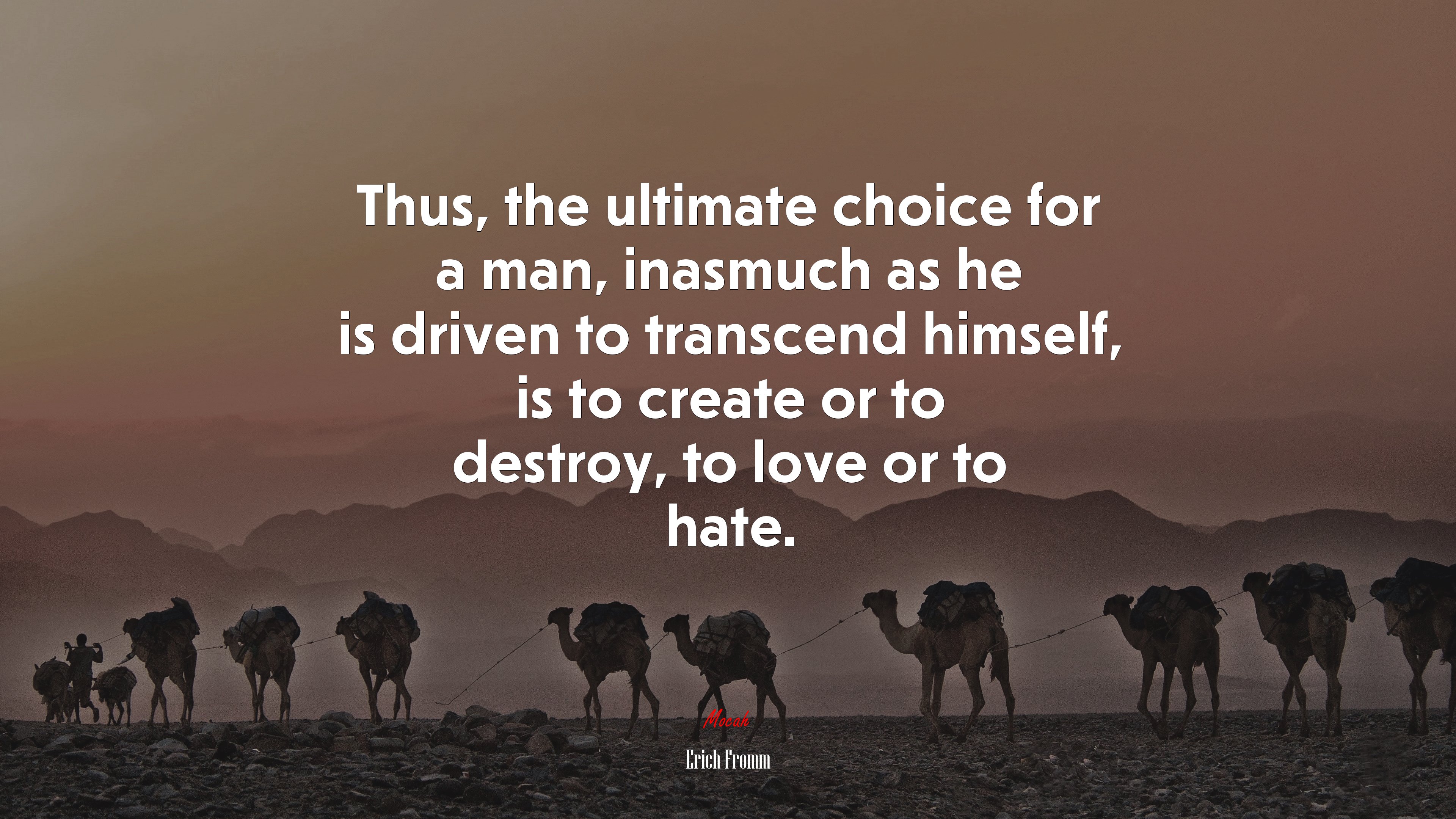Thus, the ultimate choice for a man, inasmuch as he is driven to transcend himself, is to create or to destroy, to love or to hate. | Erich Fromm quote HD Wallpaper