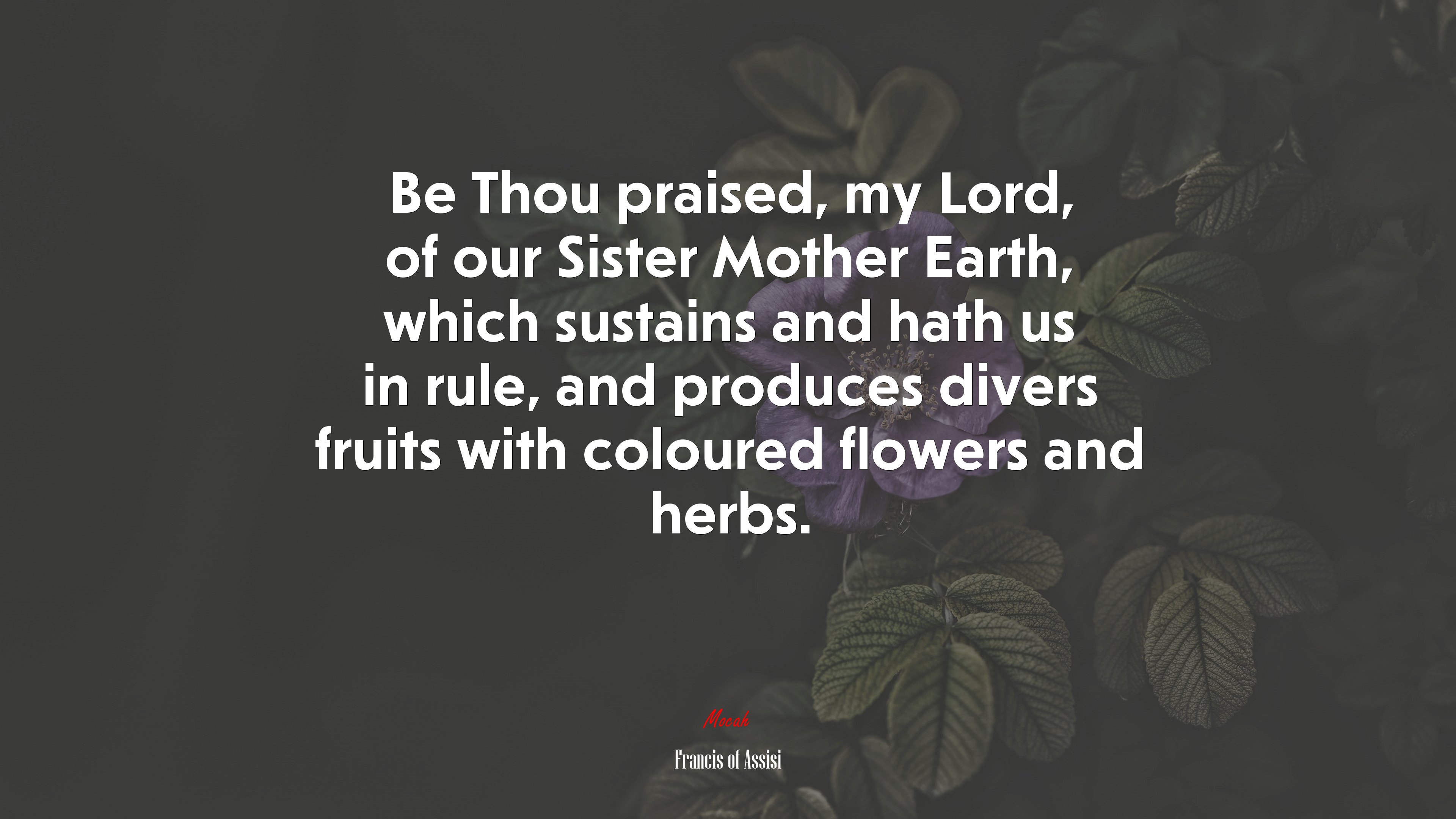 Be Thou praised, my Lord, of our Sister Mother Earth, which sustains and hath us in rule, and produces divers fruits with coloured flowers and herbs. | Francis of Assisi quote HD Wallpaper