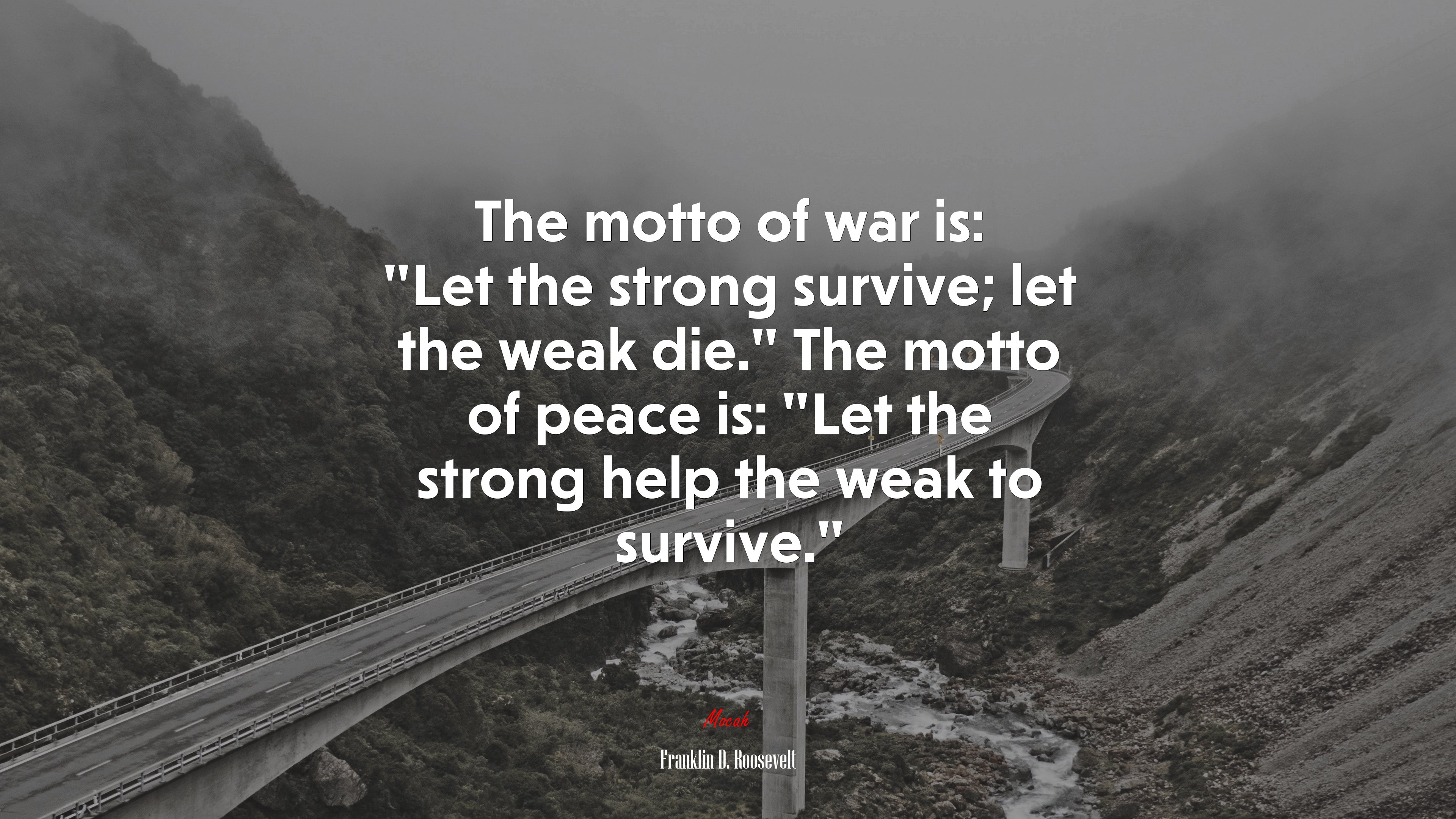 The motto of war is: “Let the strong survive; let the weak die.” The motto of peace is: “Let the strong help the weak to survive.” | Franklin D. Roosevelt quote HD Wallpaper