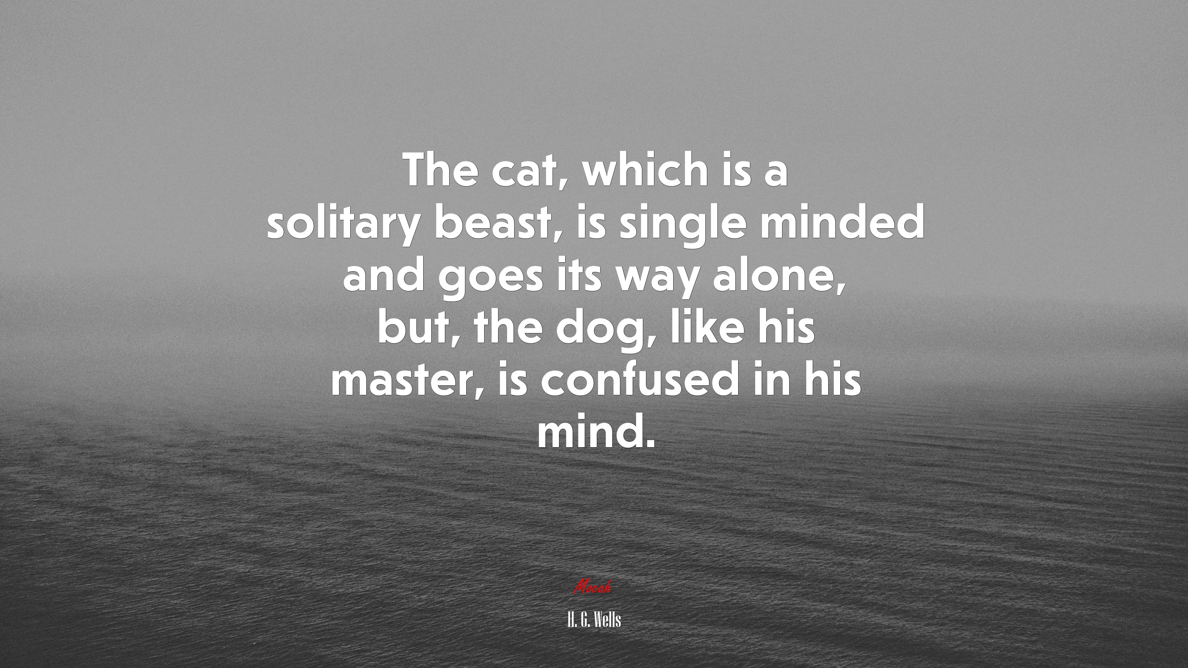 The cat, which is a solitary beast, is single minded and goes its way alone, but, the dog, like his master, is confused in his mind. | H. G. Wells quote HD Wallpaper