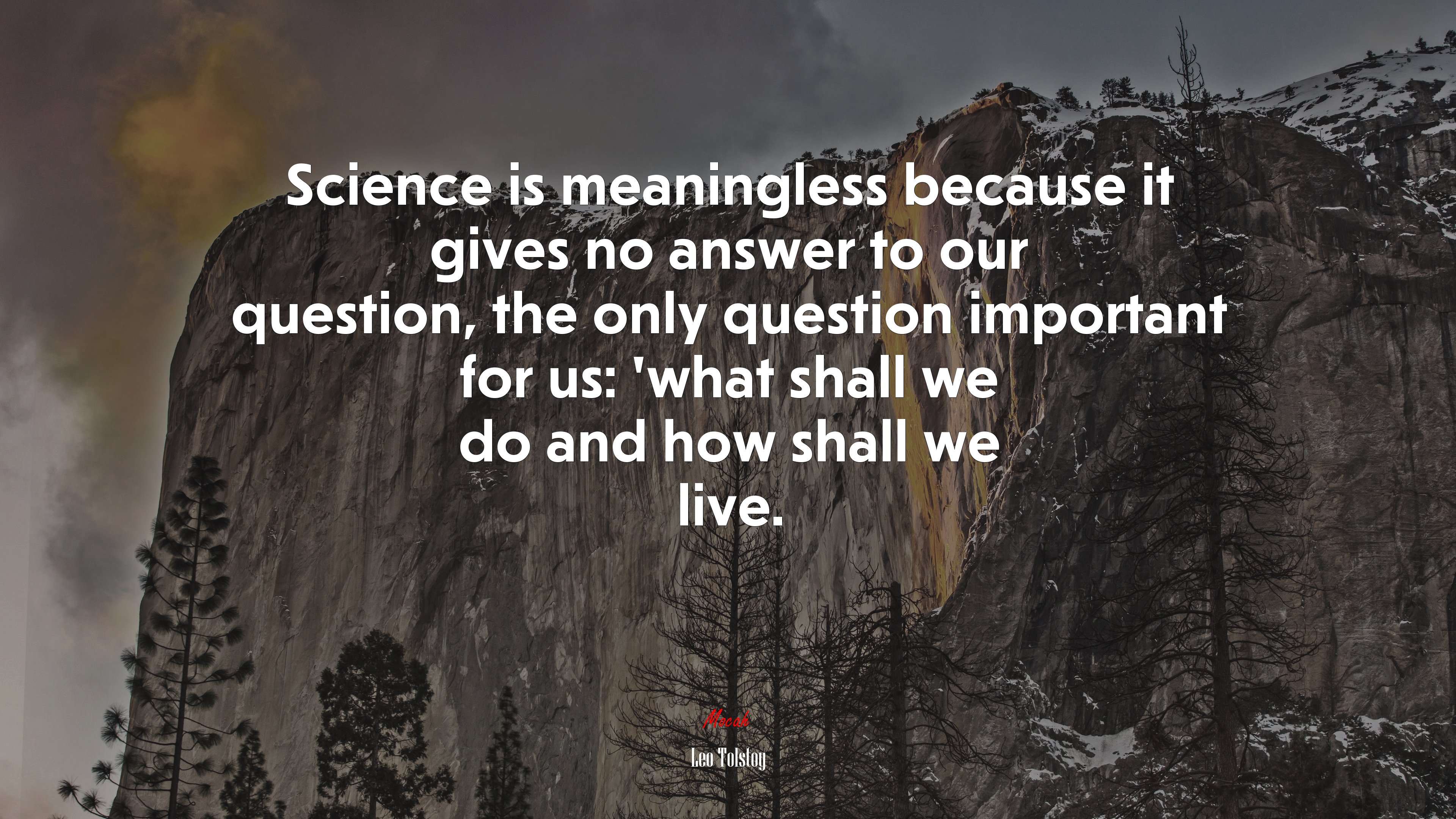 Science is meaningless because it gives no answer to our question, the only question important for us: ’what shall we do and how shall we live. | Leo Tolstoy quote HD Wallpaper