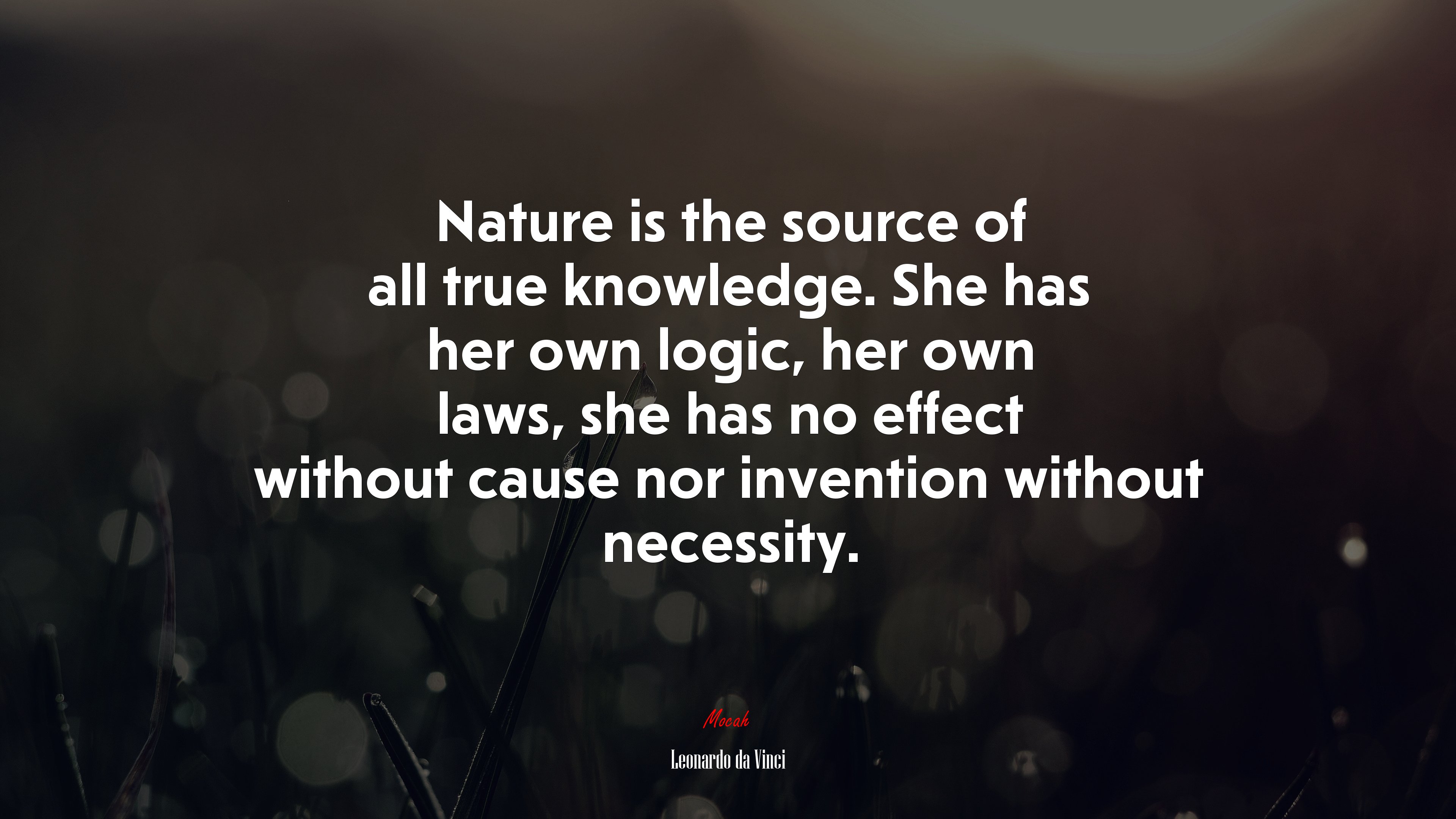 Nature is the source of all true knowledge. She has her own logic, her own laws, she has no effect without cause nor invention without necessity. | Leonardo da Vinci quote HD Wallpaper