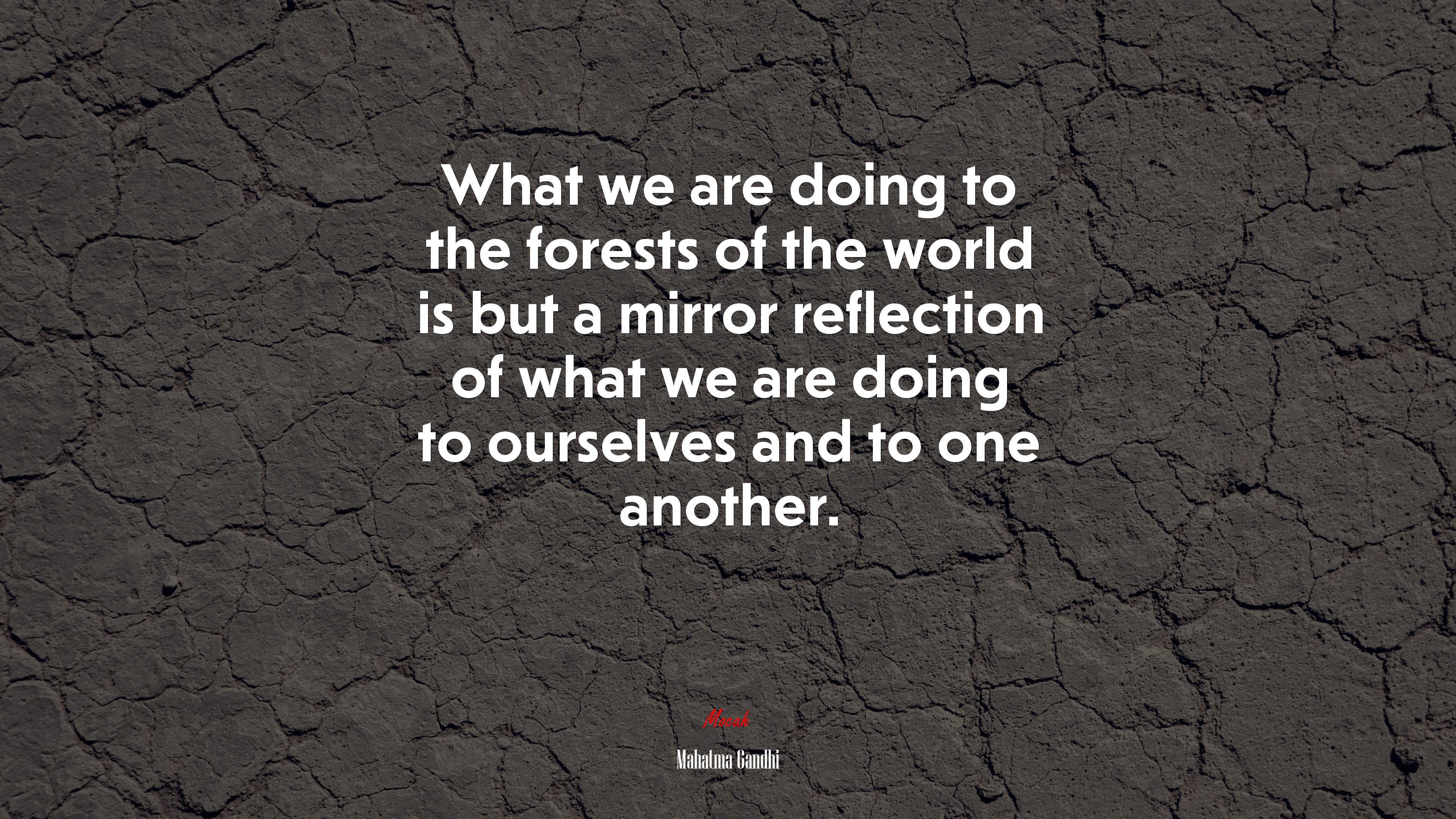 What we are doing to the forests of the world is but a mirror reflection of what we are doing to ourselves and to one another. | Mahatma Gandhi quote HD Wallpaper