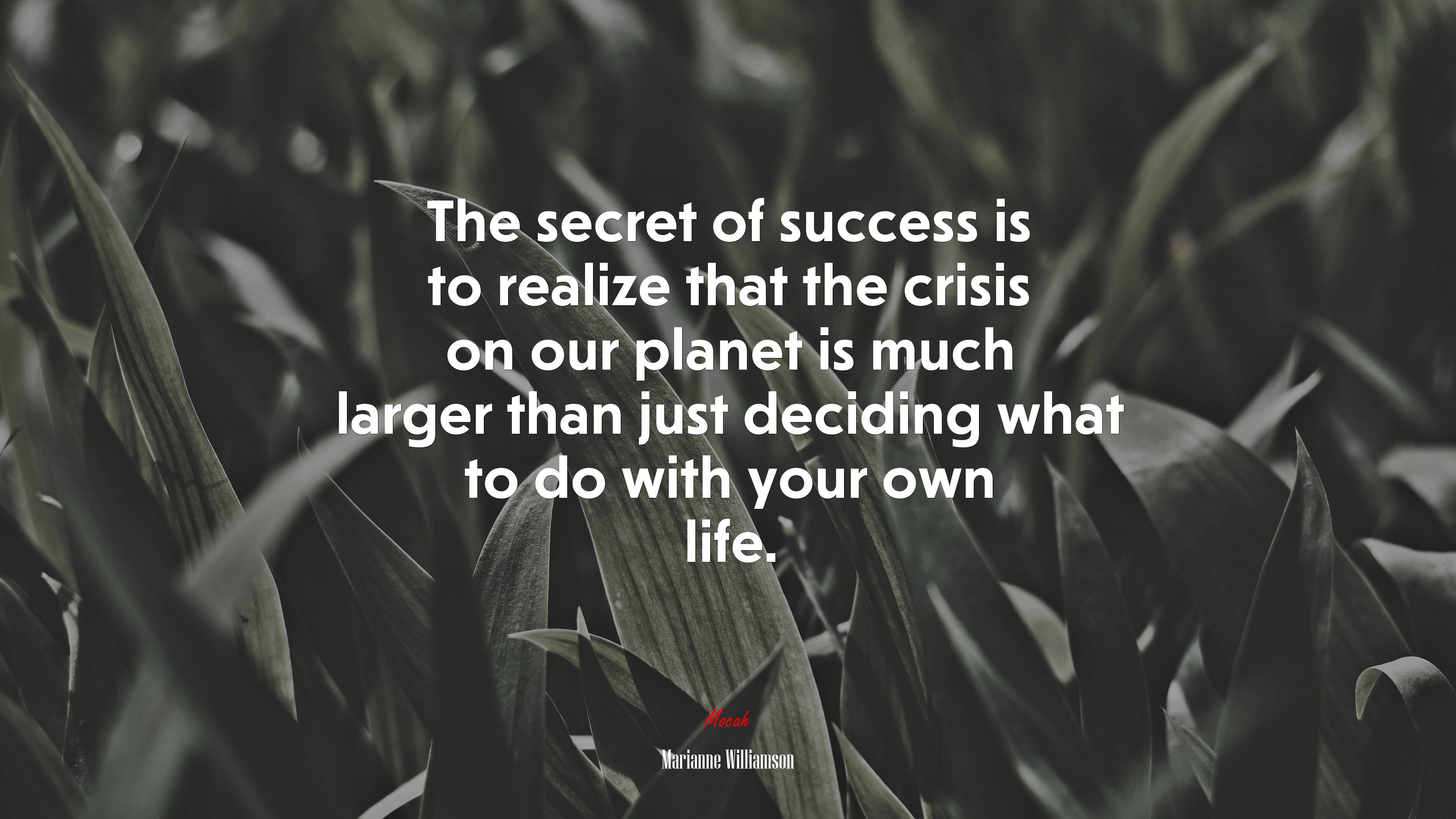 The secret of success is to realize that the crisis on our planet is much larger than just deciding what to do with your own life. | Marianne Williamson quote HD Wallpaper