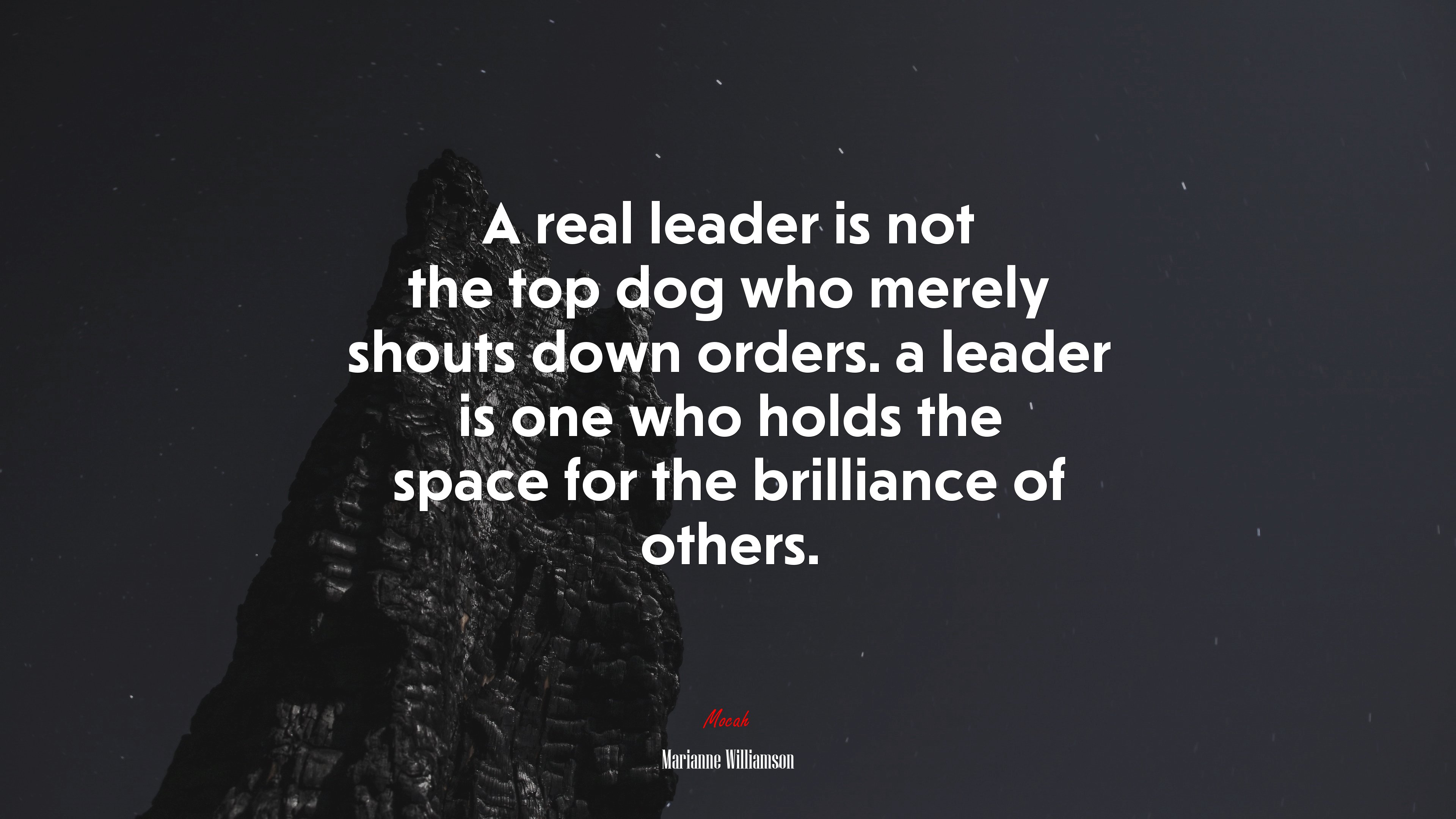 A real leader is not the top dog who merely shouts down orders. a leader is one who holds the space for the brilliance of others. | Marianne Williamson quote HD Wallpaper