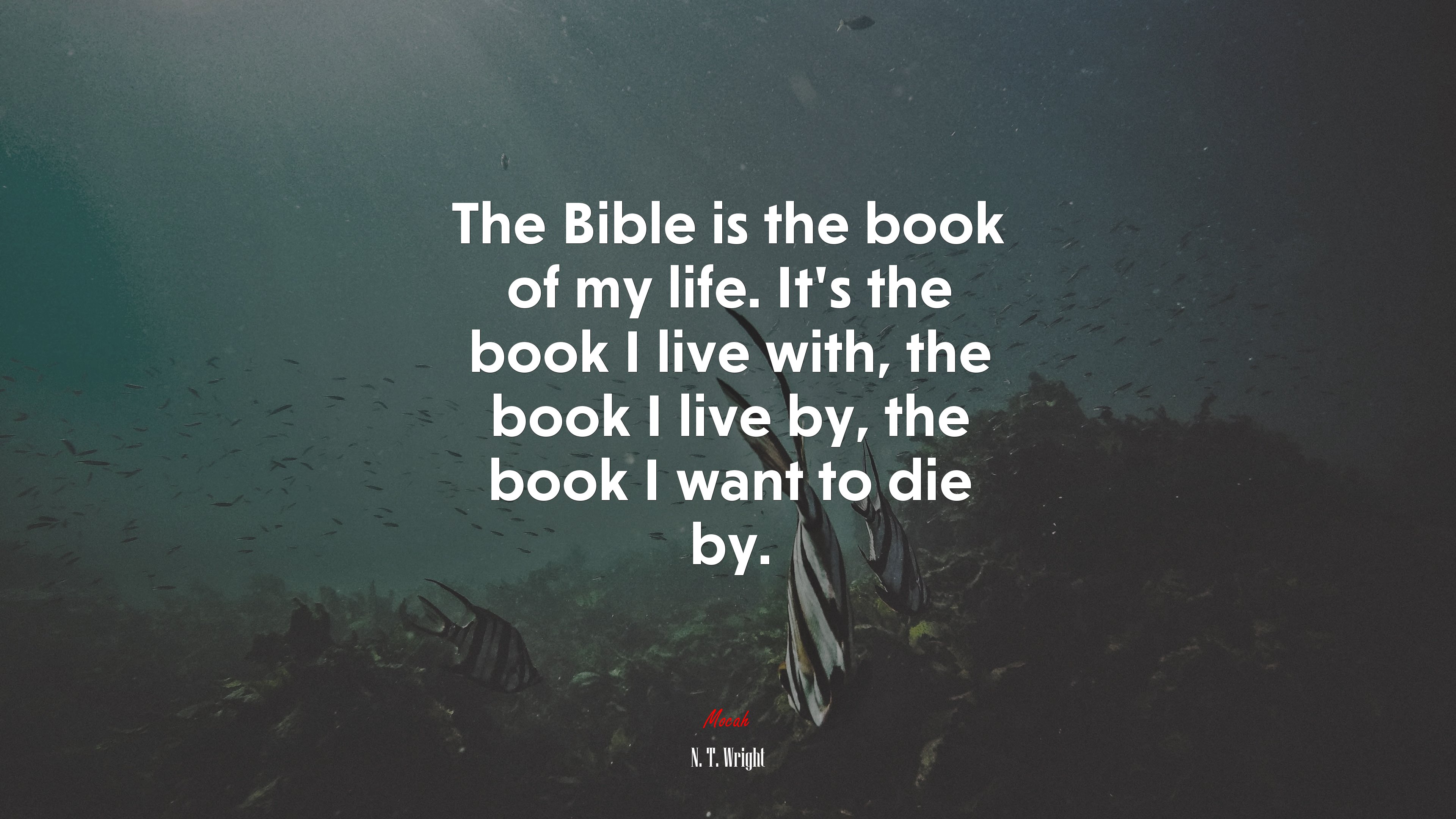 The Bible is the book of my life. It’s the book I live with, the book I live by, the book I want to die by. | N. T. Wright quote HD Wallpaper