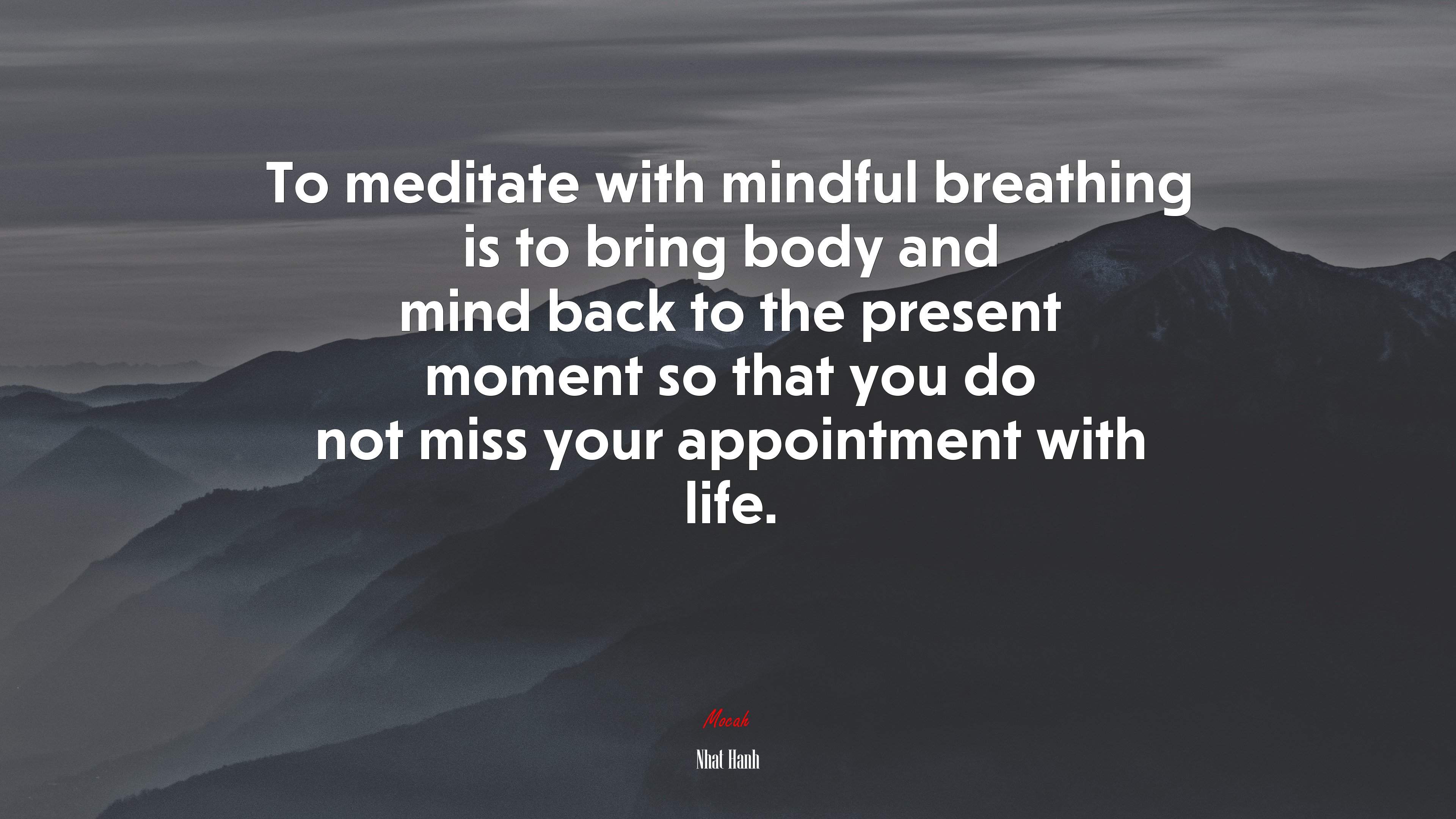 To meditate with mindful breathing is to bring body and mind back to the present moment so that you do not miss your appointment with life. | Nhat Hanh quote HD Wallpaper