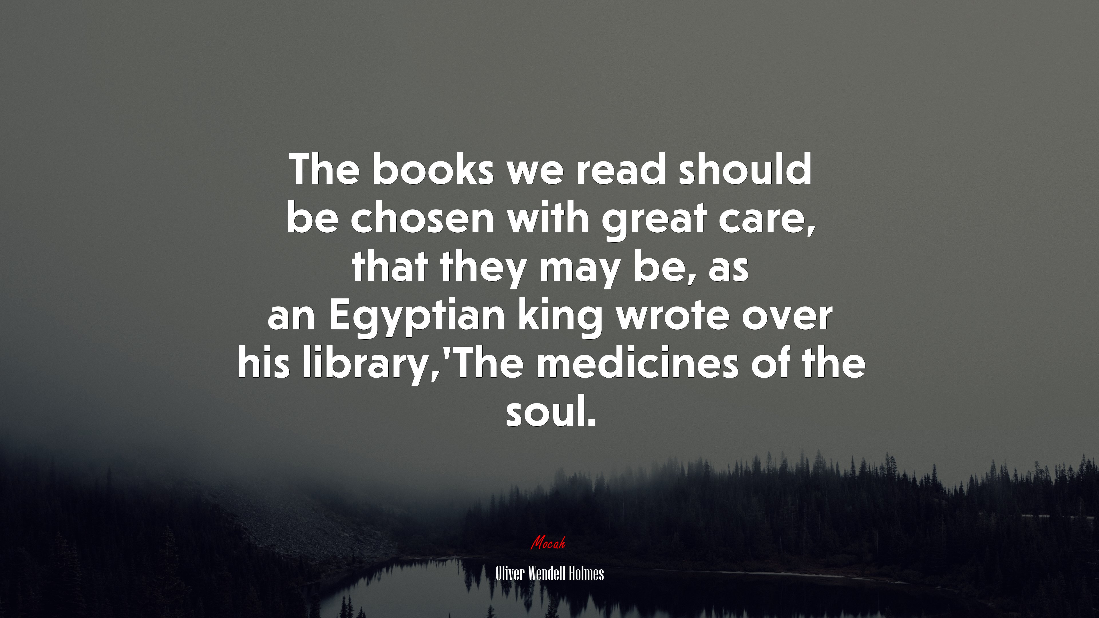 The books we read should be chosen with great care, that they may be, as an Egyptian king wrote over his library,’The medicines of the soul. | Oliver Wendell Holmes quote HD Wallpaper