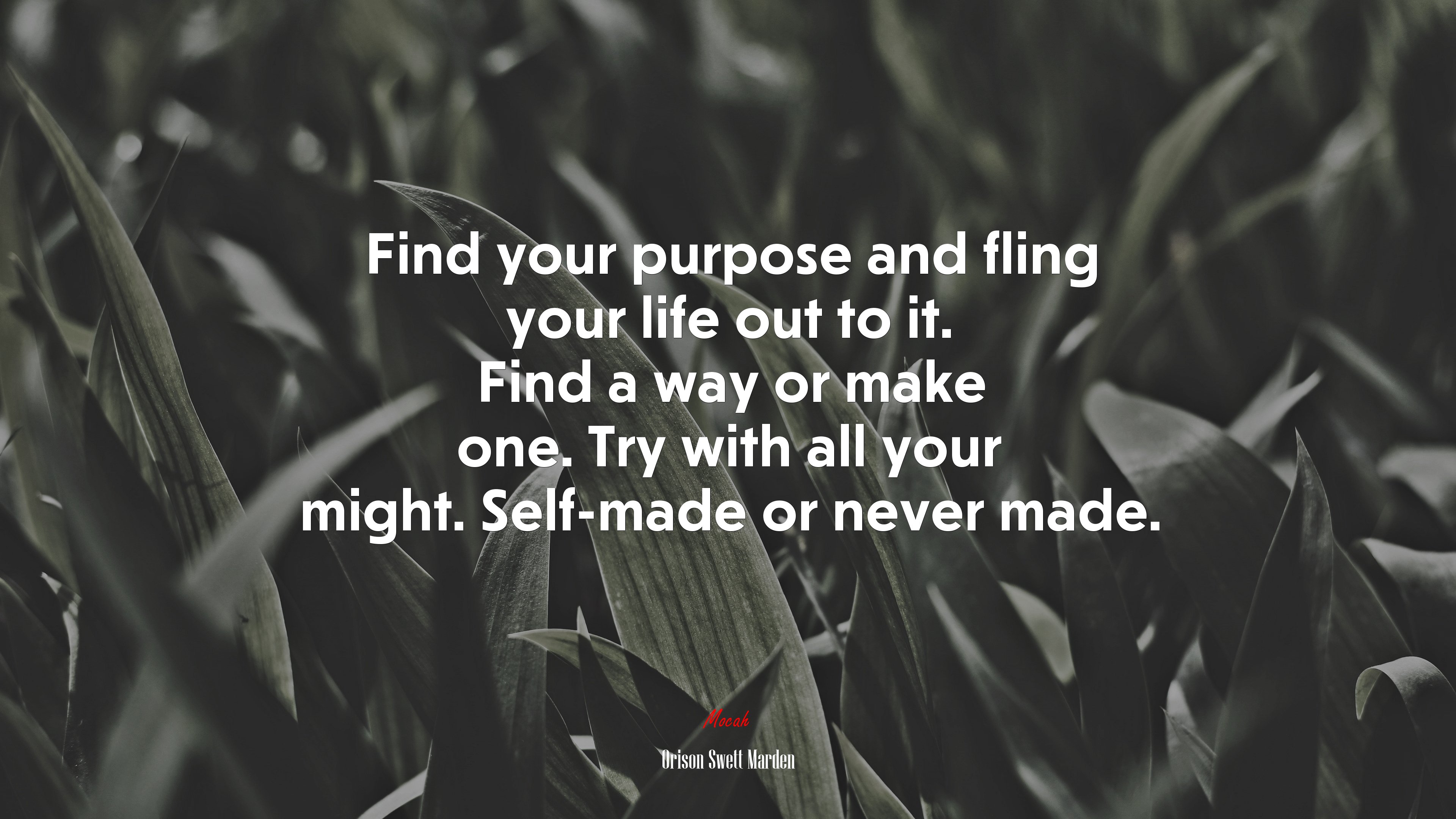 Find your purpose and fling your life out to it. Find a way or make one. Try with all your might. Self-made or never made. | Orison Swett Marden quote HD Wallpaper