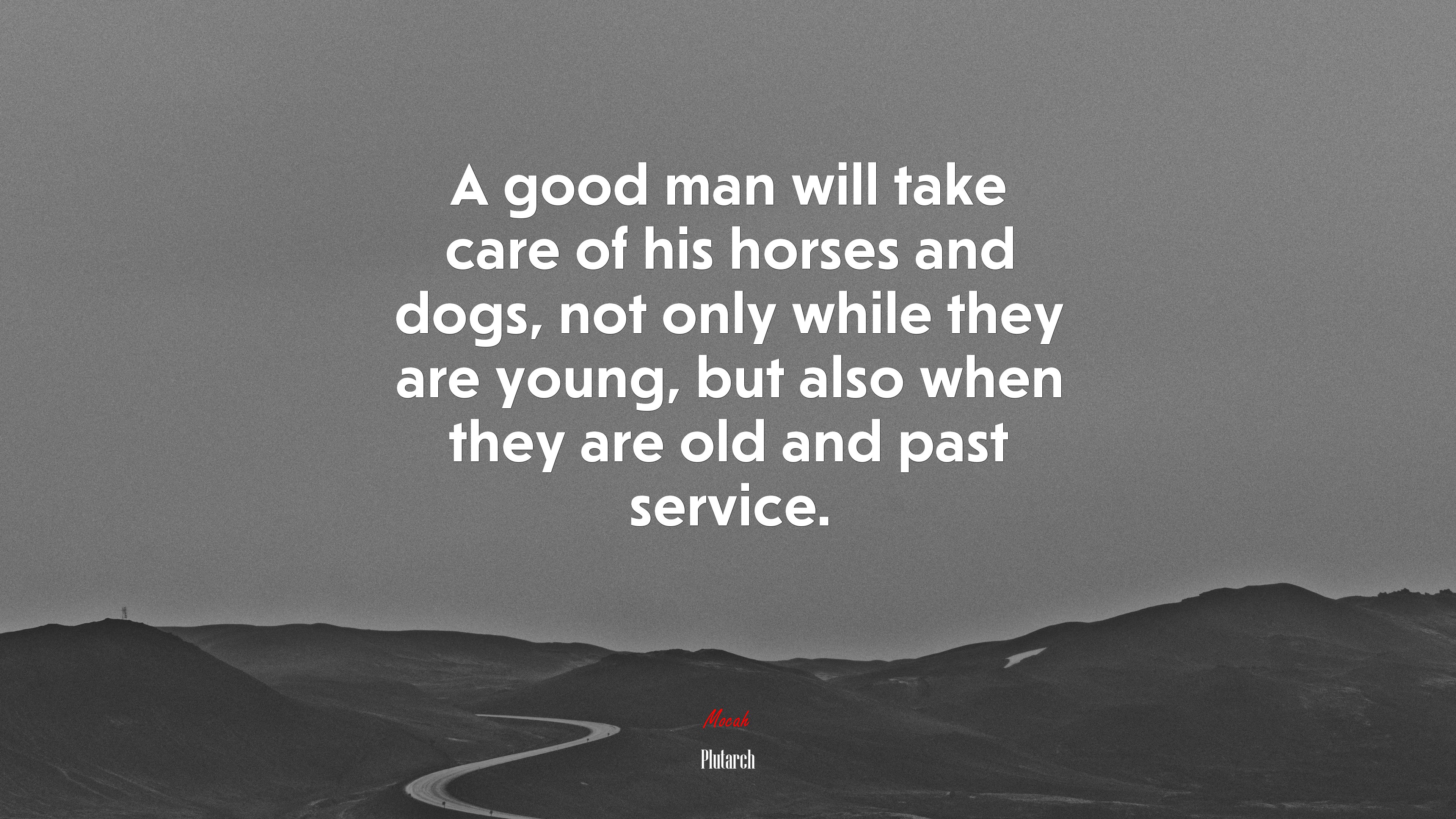 A good man will take care of his horses and dogs, not only while they are young, but also when they are old and past service. | Plutarch quote HD Wallpaper