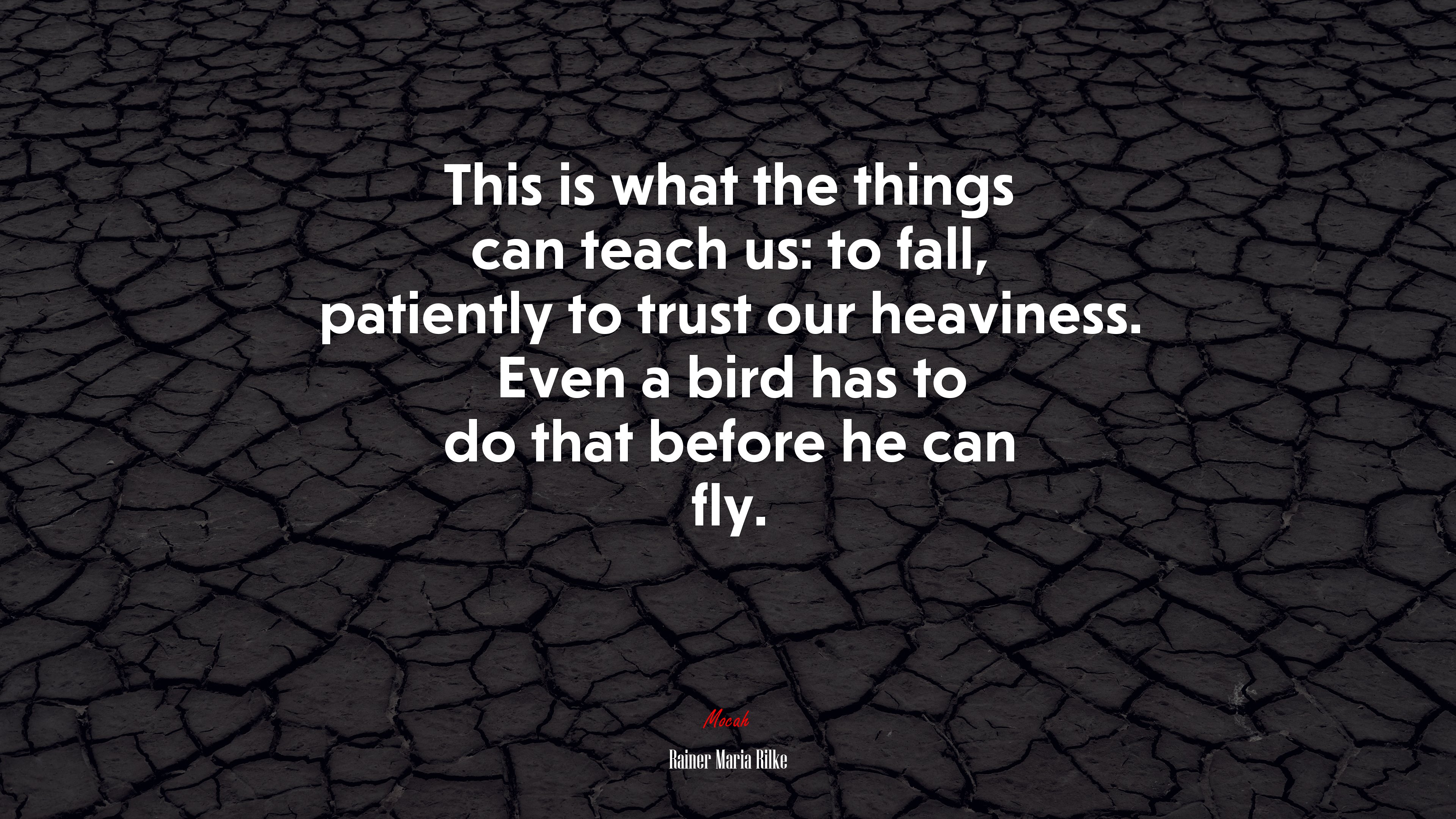 This is what the things can teach us: to fall, patiently to trust our heaviness. Even a bird has to do that before he can fly. | Rainer Maria Rilke quote HD Wallpaper