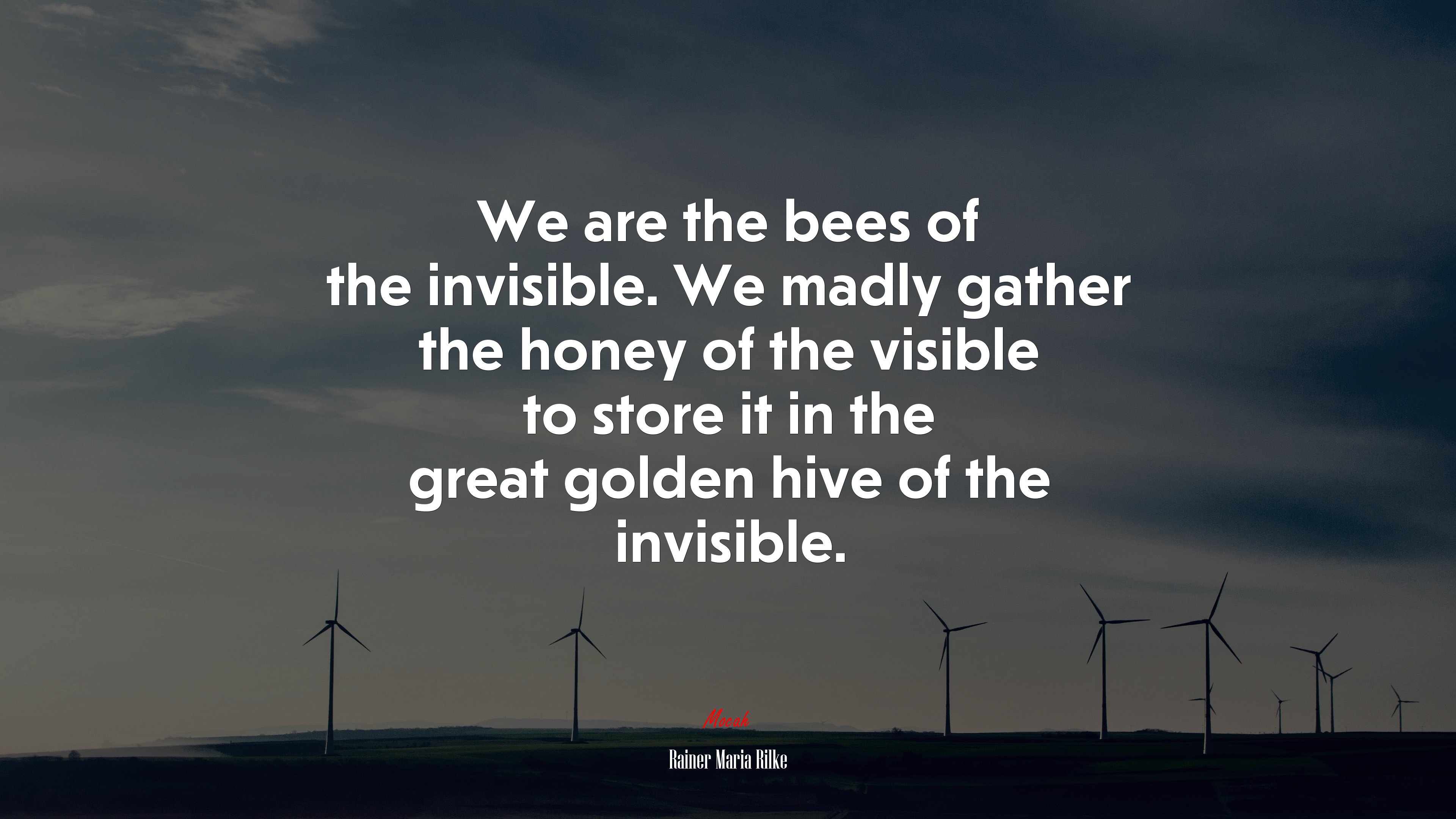 We are the bees of the invisible. We madly gather the honey of the visible to store it in the great golden hive of the invisible. | Rainer Maria Rilke quote HD Wallpaper