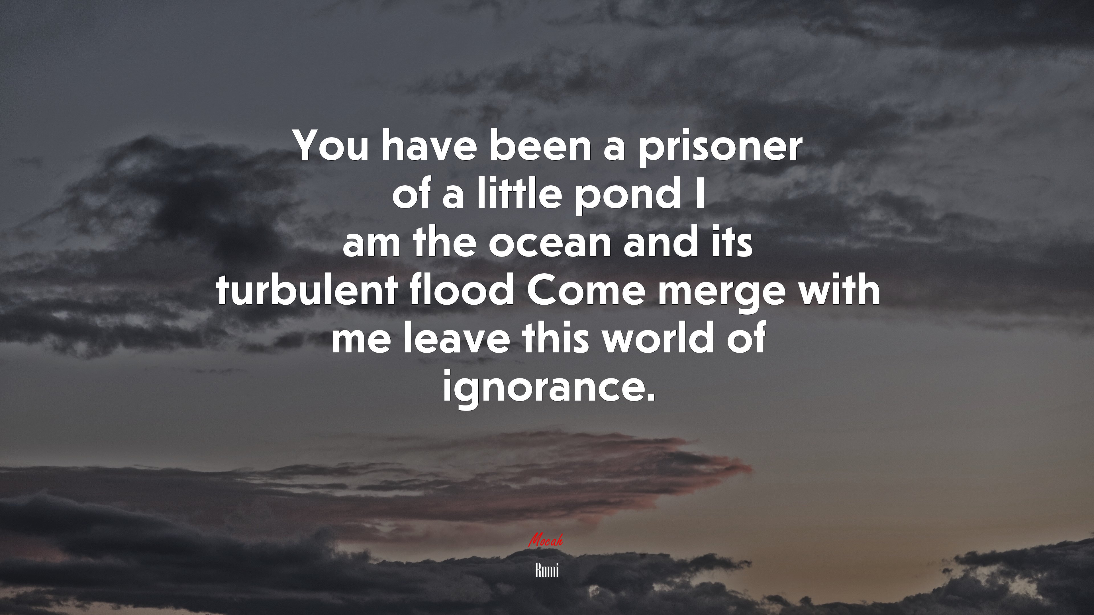You have been a prisoner of a little pond I am the ocean and its turbulent flood Come merge with me leave this world of ignorance. | Rumi quote HD Wallpaper
