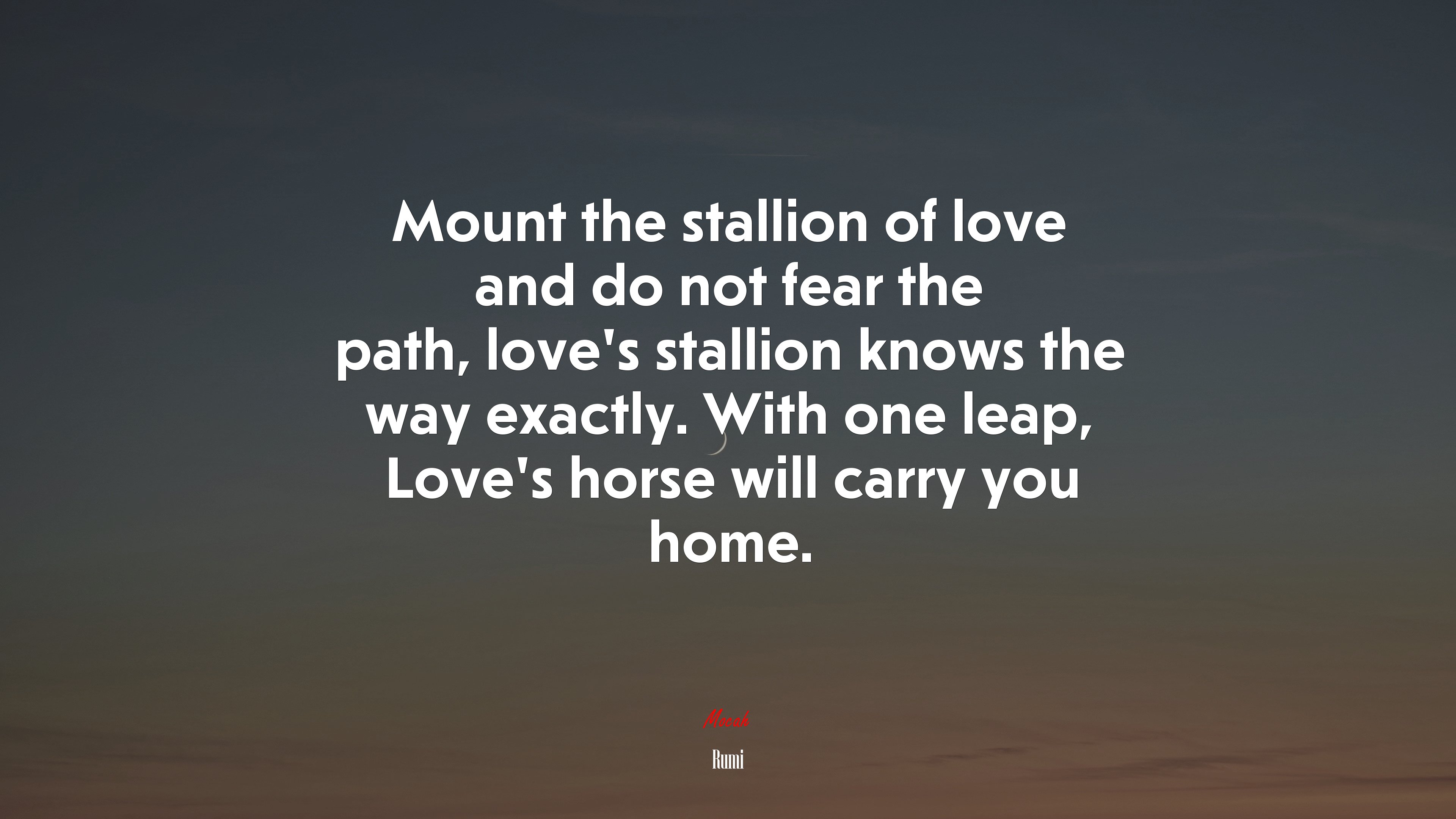 Mount the stallion of love and do not fear the path, love’s stallion knows the way exactly. With one leap, Love’s horse will carry you home. | Rumi quote HD Wallpaper