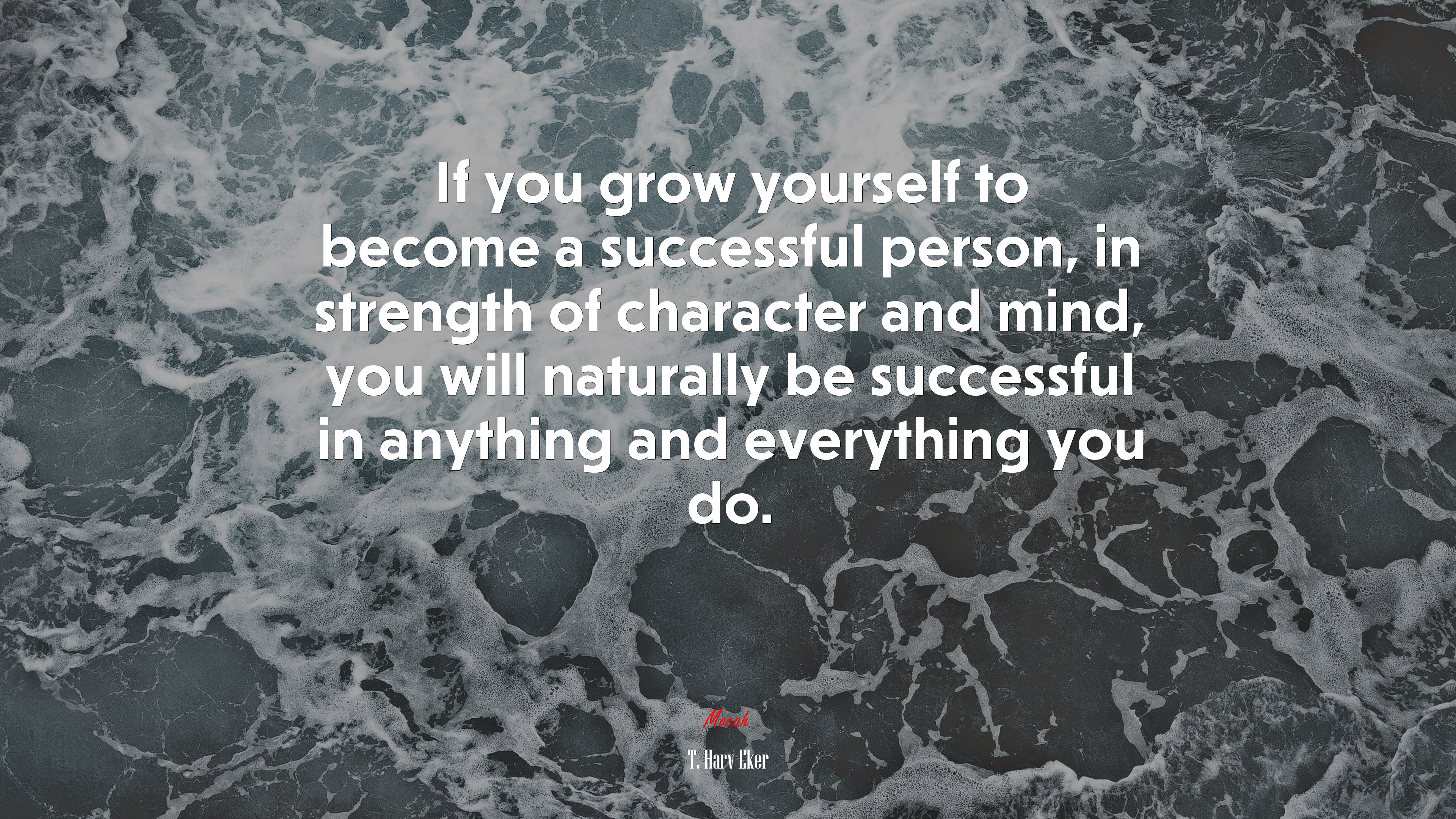 If you grow yourself to become a successful person, in strength of character and mind, you will naturally be successful in anything and everything you do. | T. Harv Eker quote HD Wallpaper