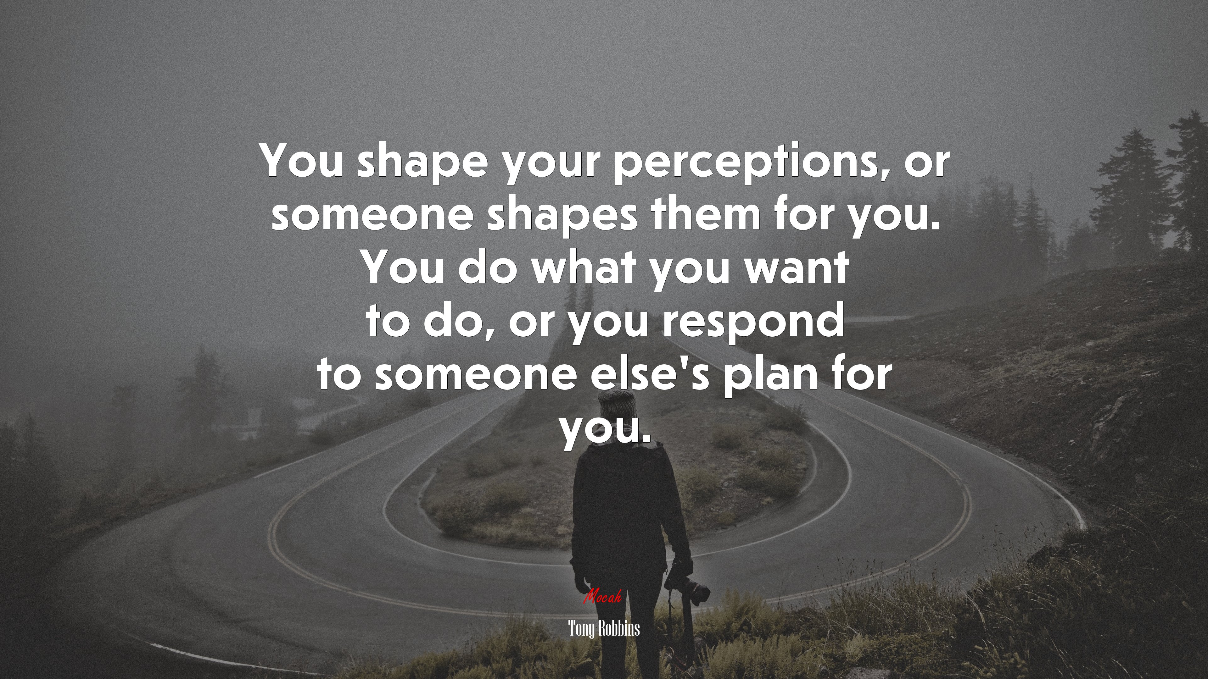 You shape your perceptions, or someone shapes them for you. You do what you want to do, or you respond to someone else’s plan for you. | Tony Robbins quote HD Wallpaper